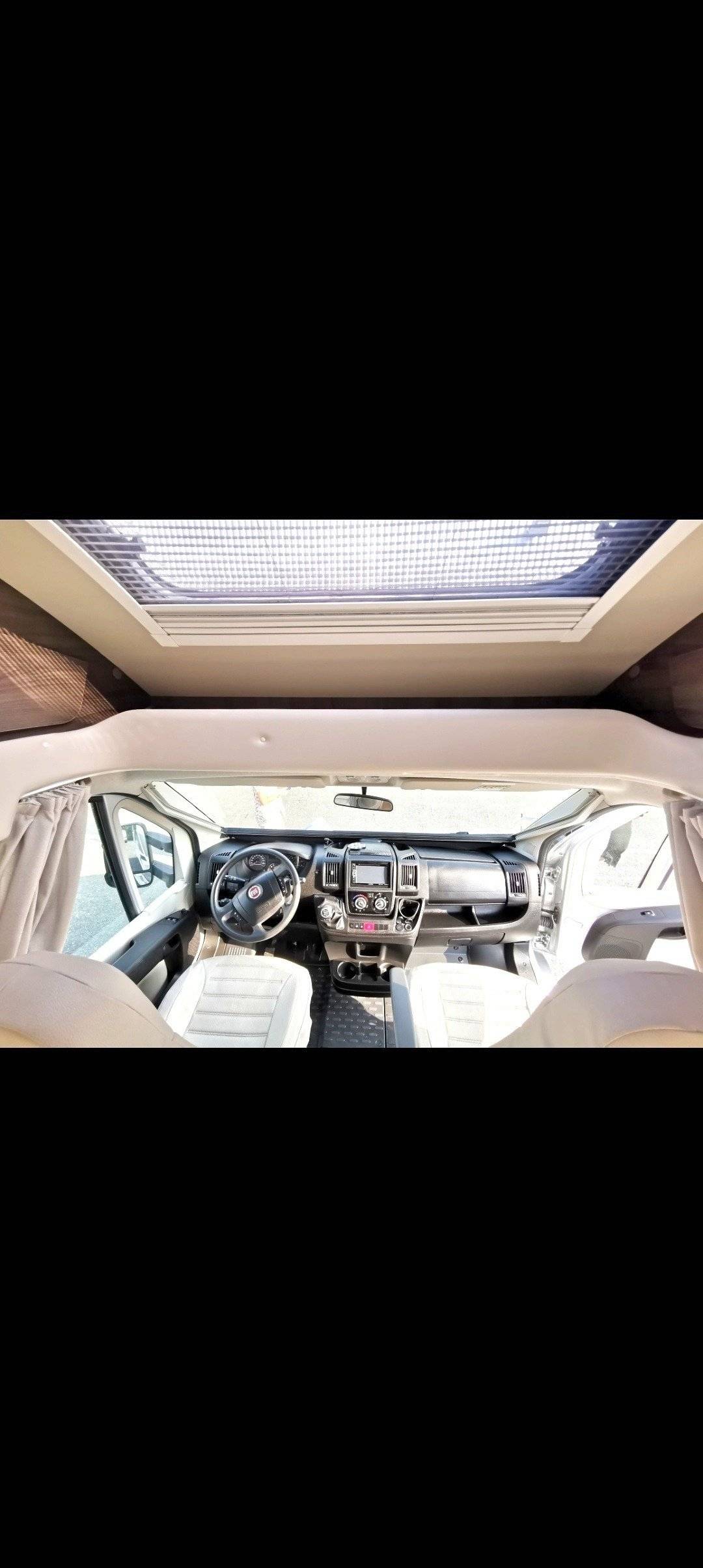 Mclouis Yearling 89G