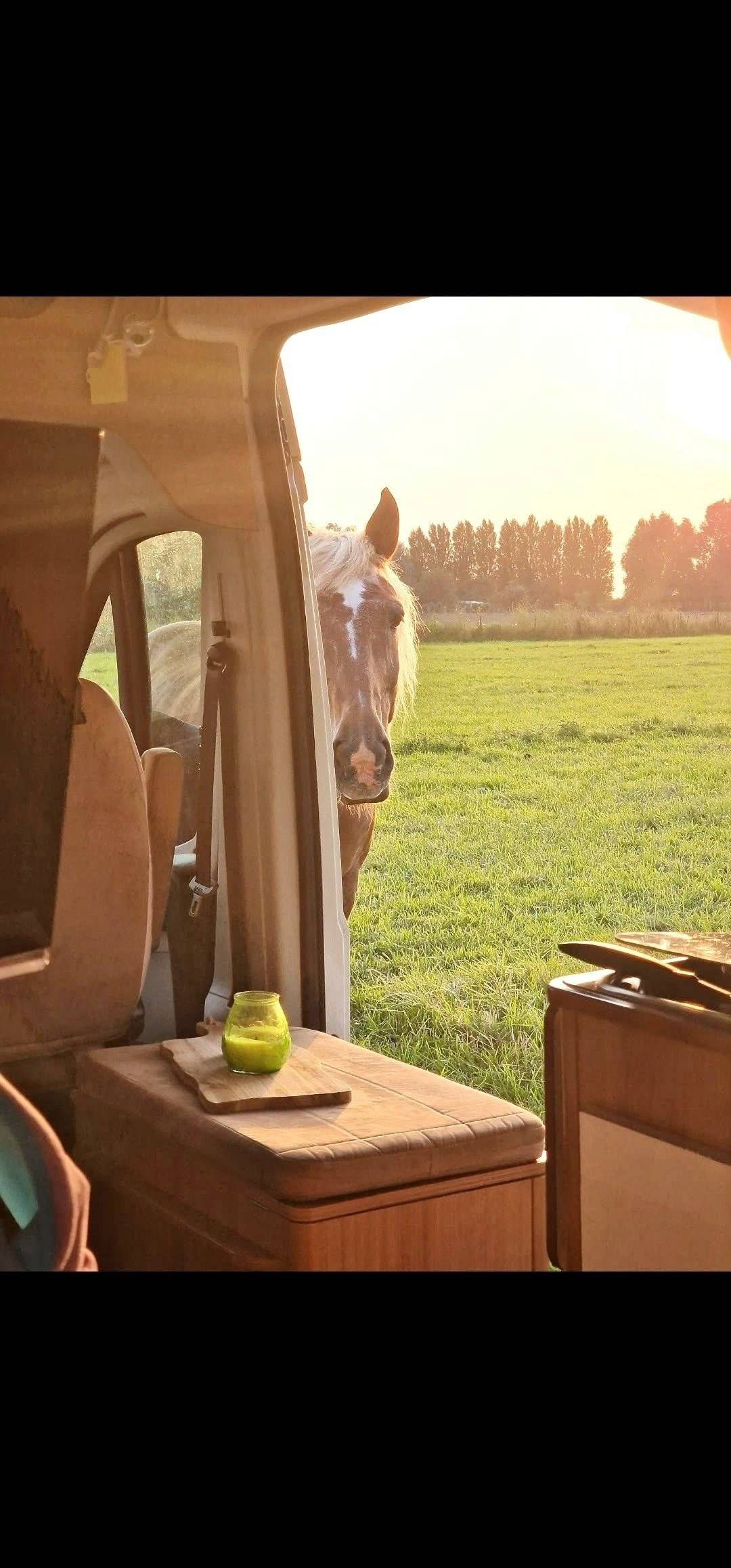 Campérêve Fiat ducato