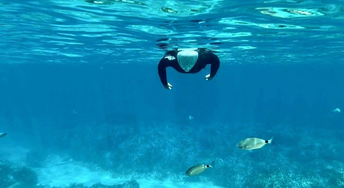 Itaca Citroën jumper