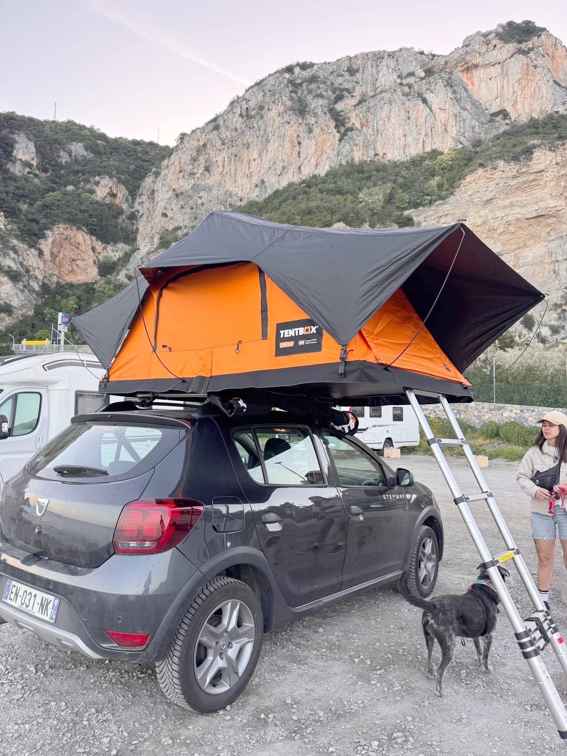 Renault Autre
