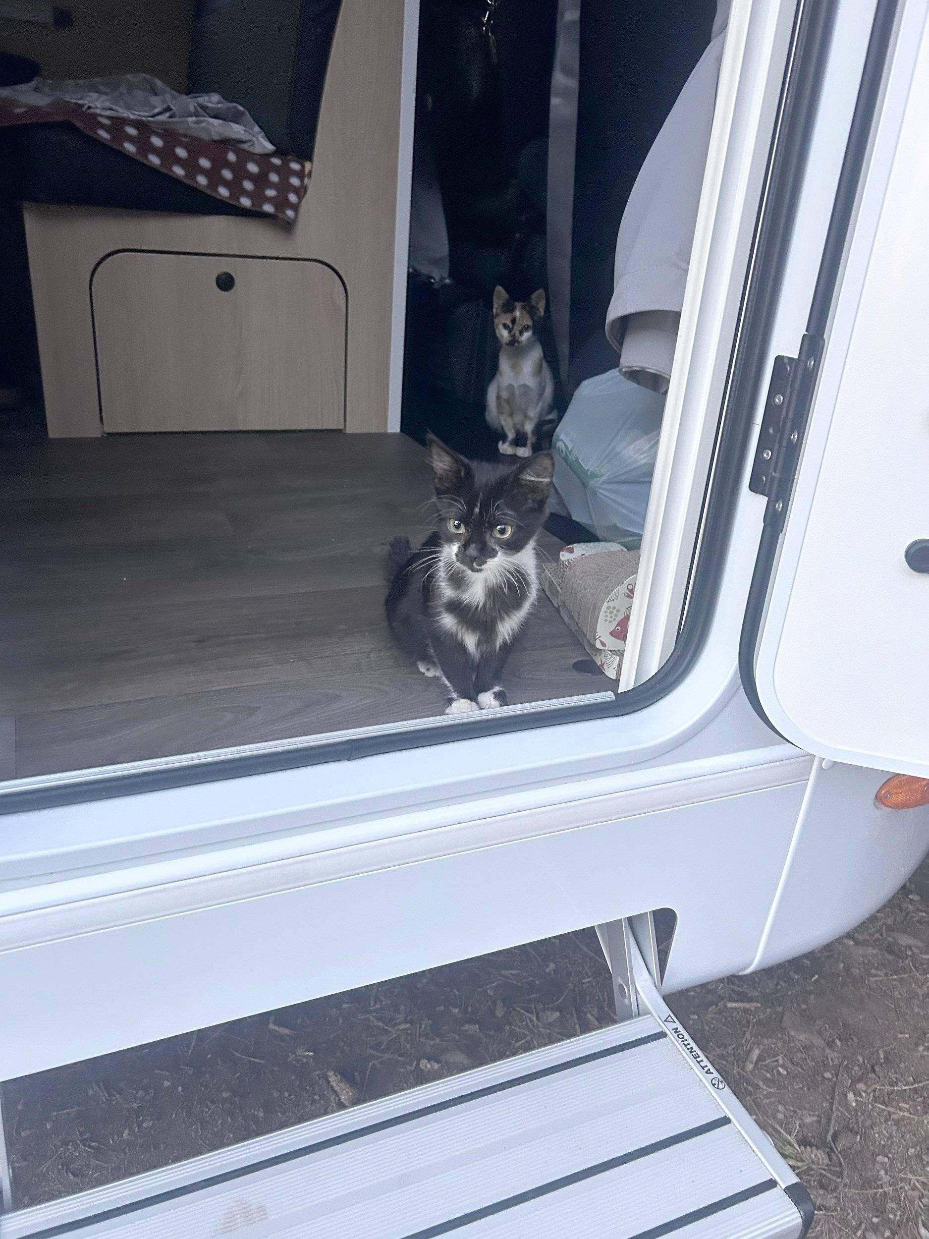 Dining Area Fiat FIAT DUCATO - Yescapa