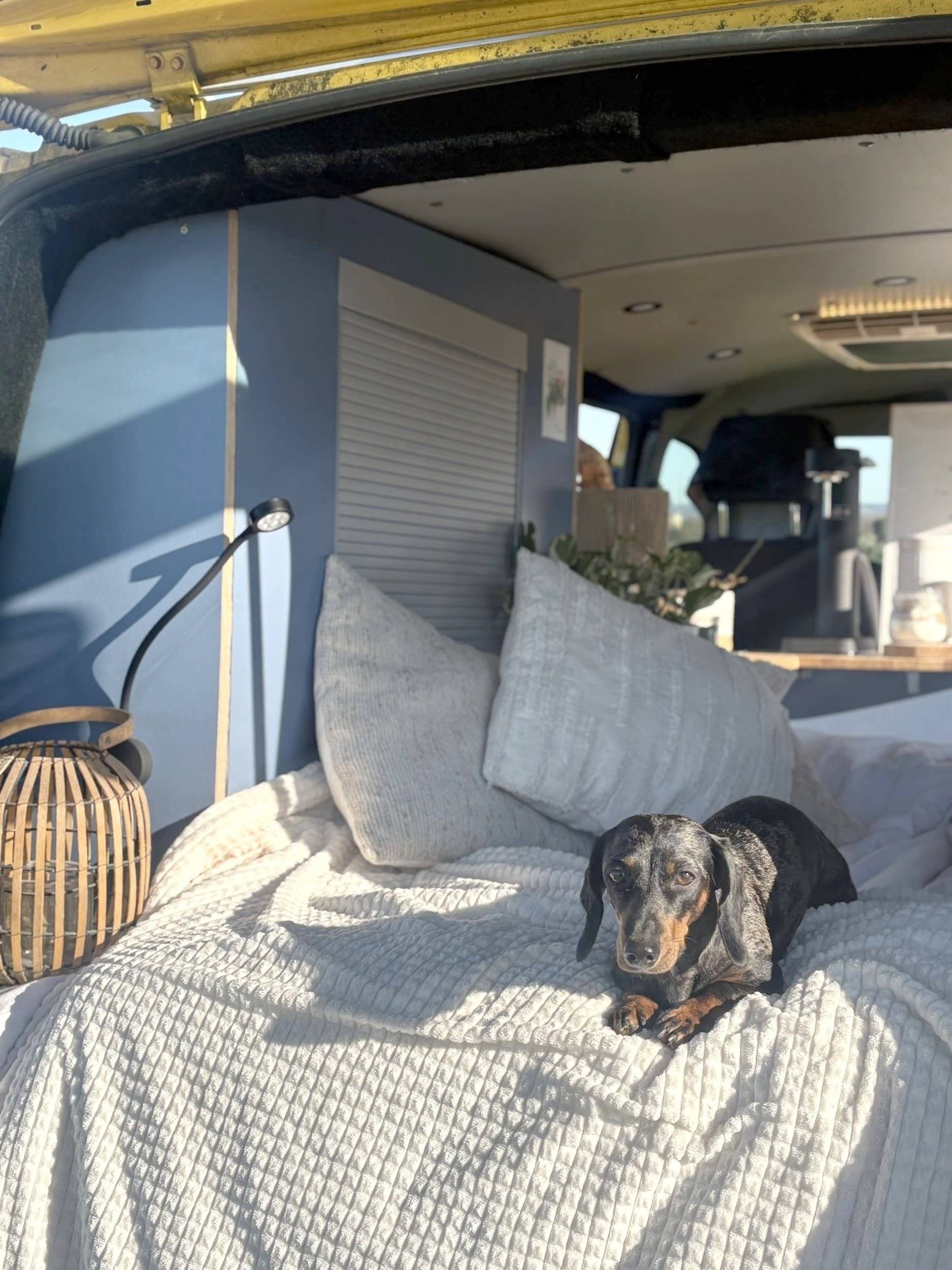 Volkswagen T5 2 l 84 ch