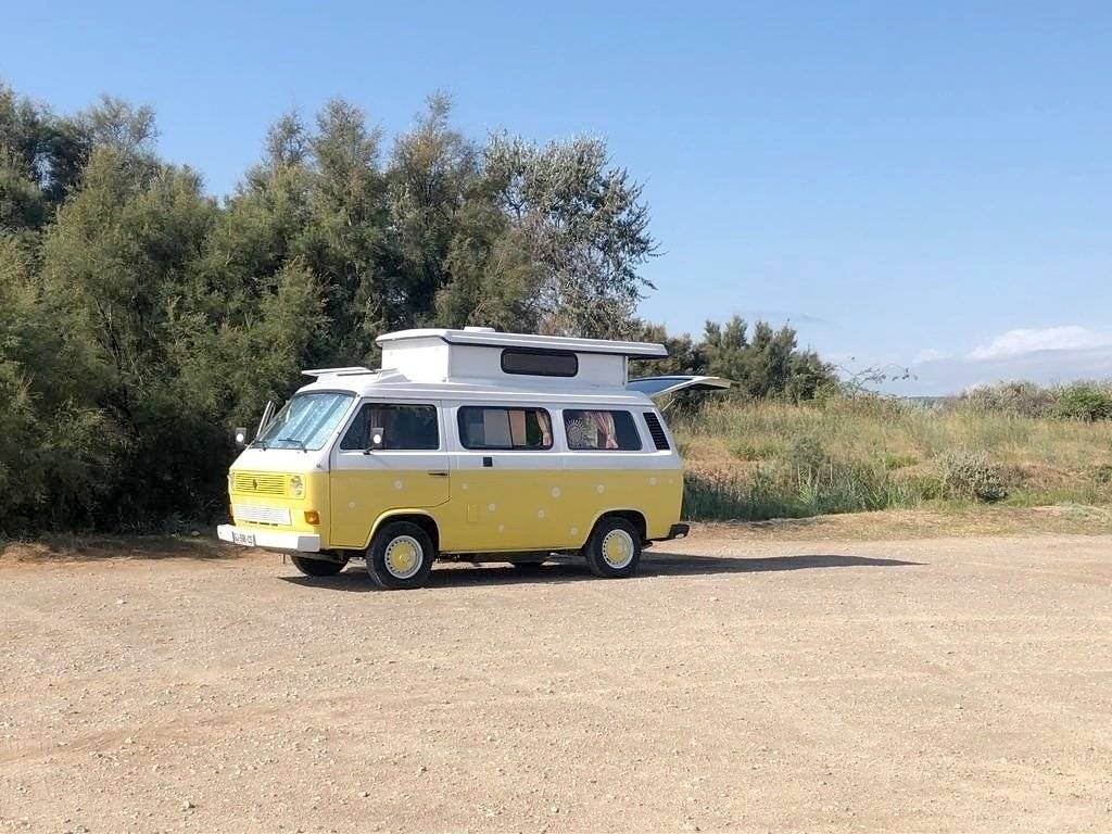 T3 Fibi VW T3 Bulli