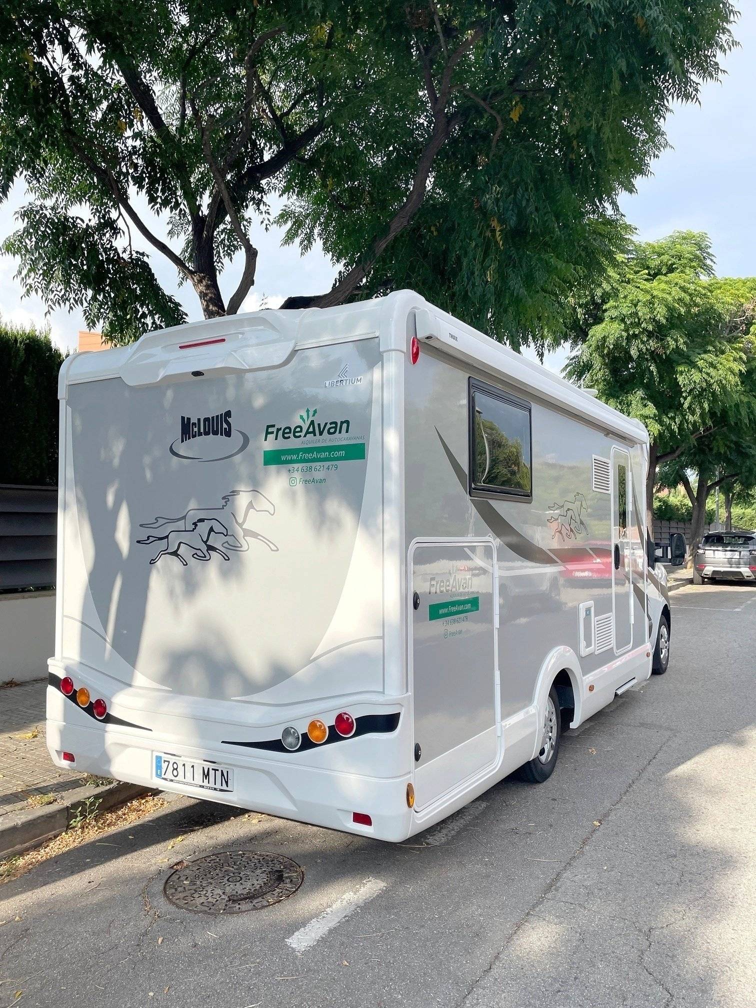 Mclouis Mclouis Yearling 83