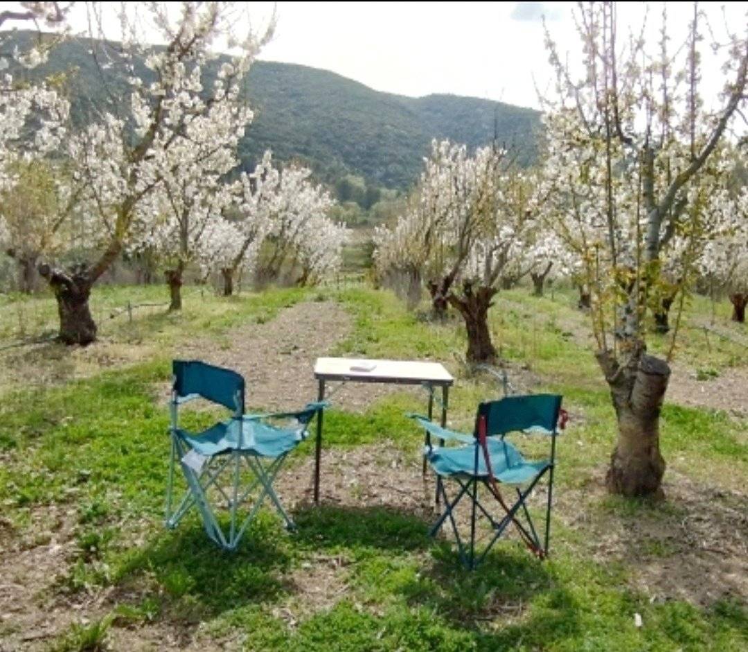 . TRAFIC III L1H1 ("Grand confort")