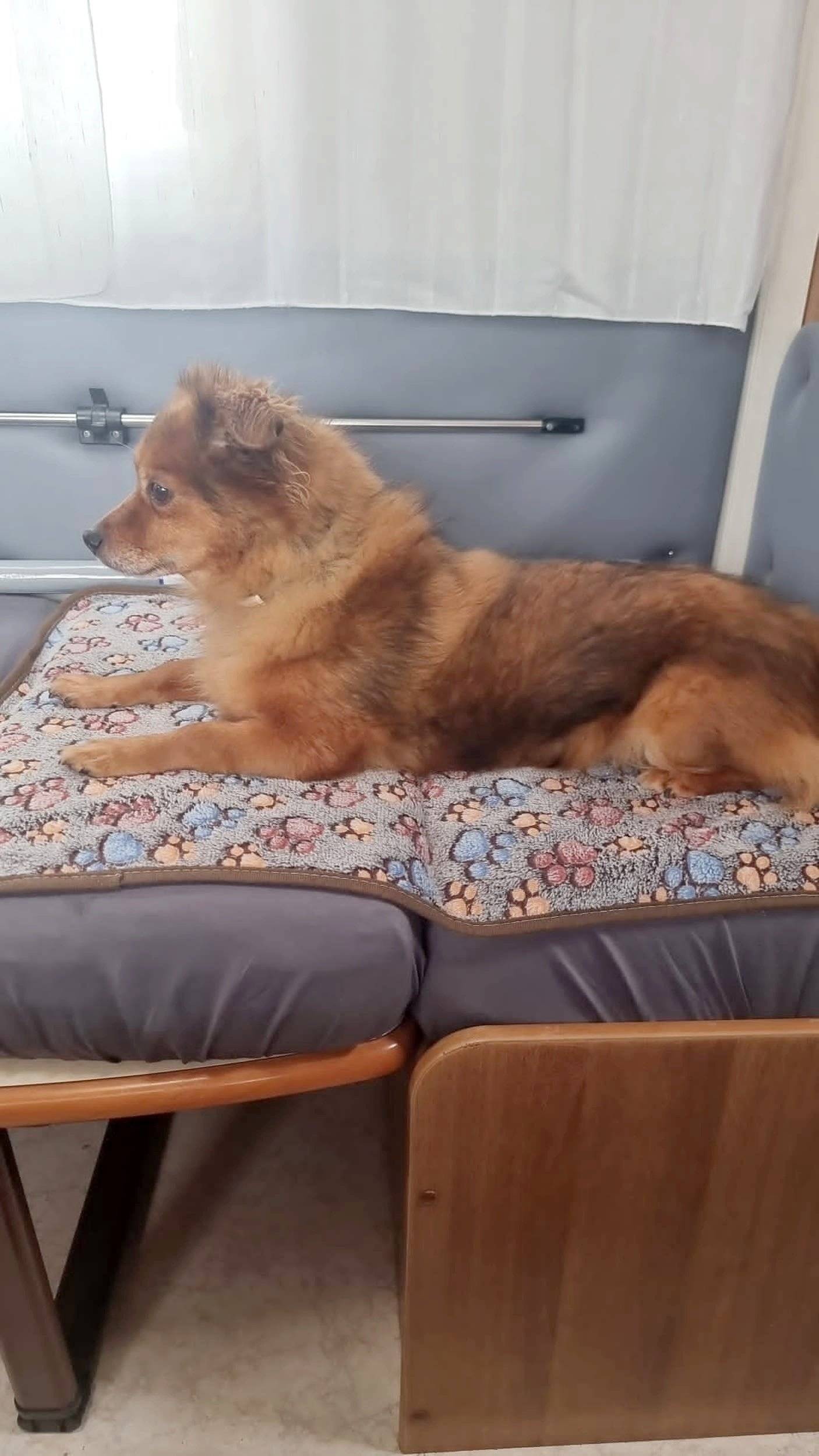 Rimor Brig Super 748