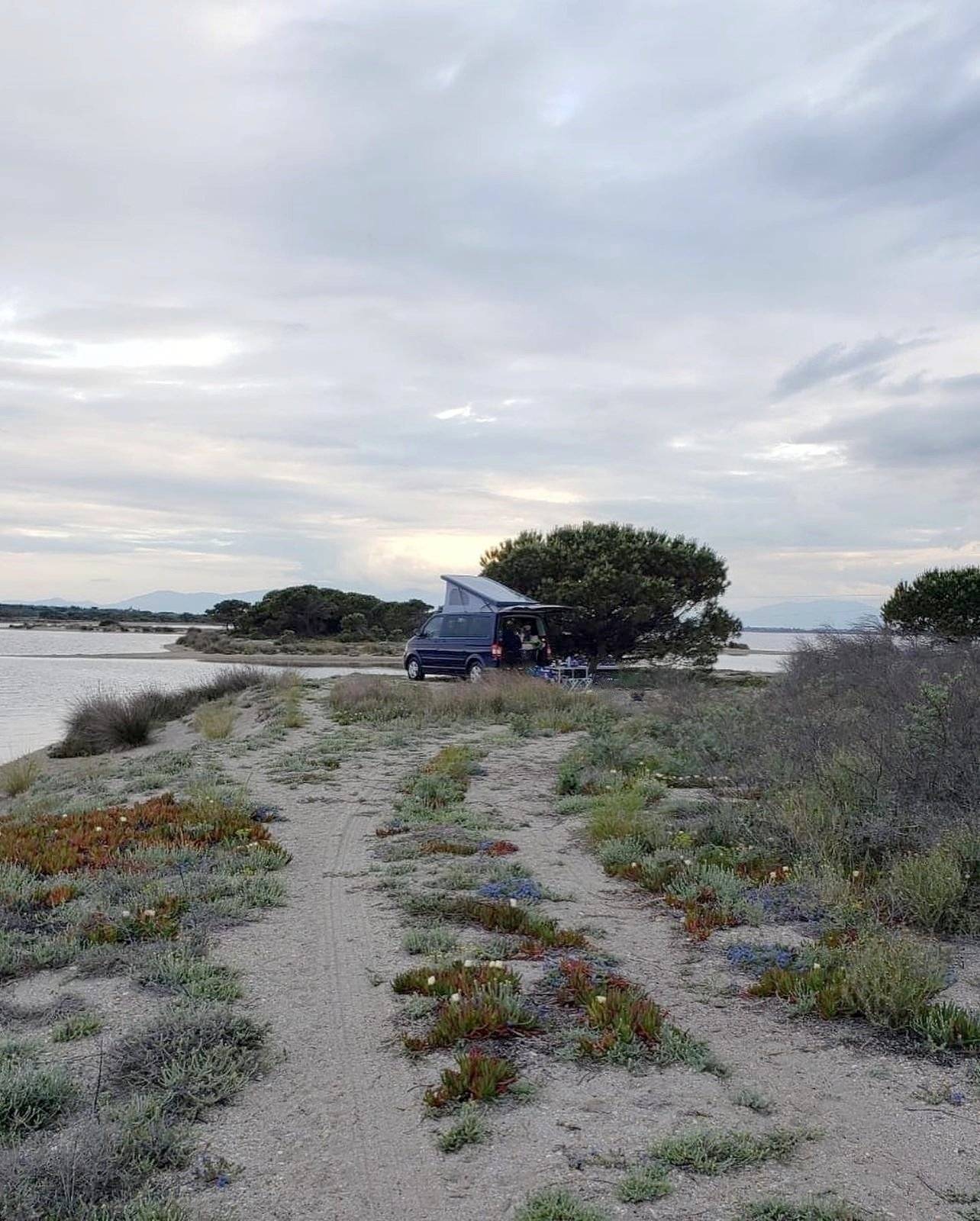 Reimo Volkswagen T5 Multivan 4motion HIGHLINE 174ch