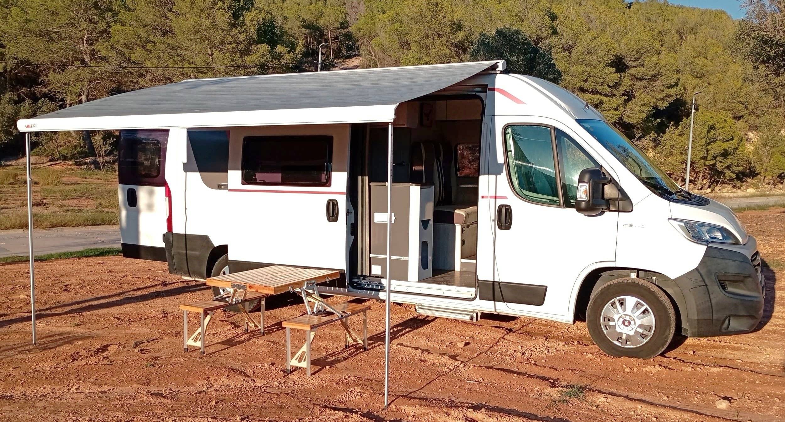 Roller Team Livingstone 5