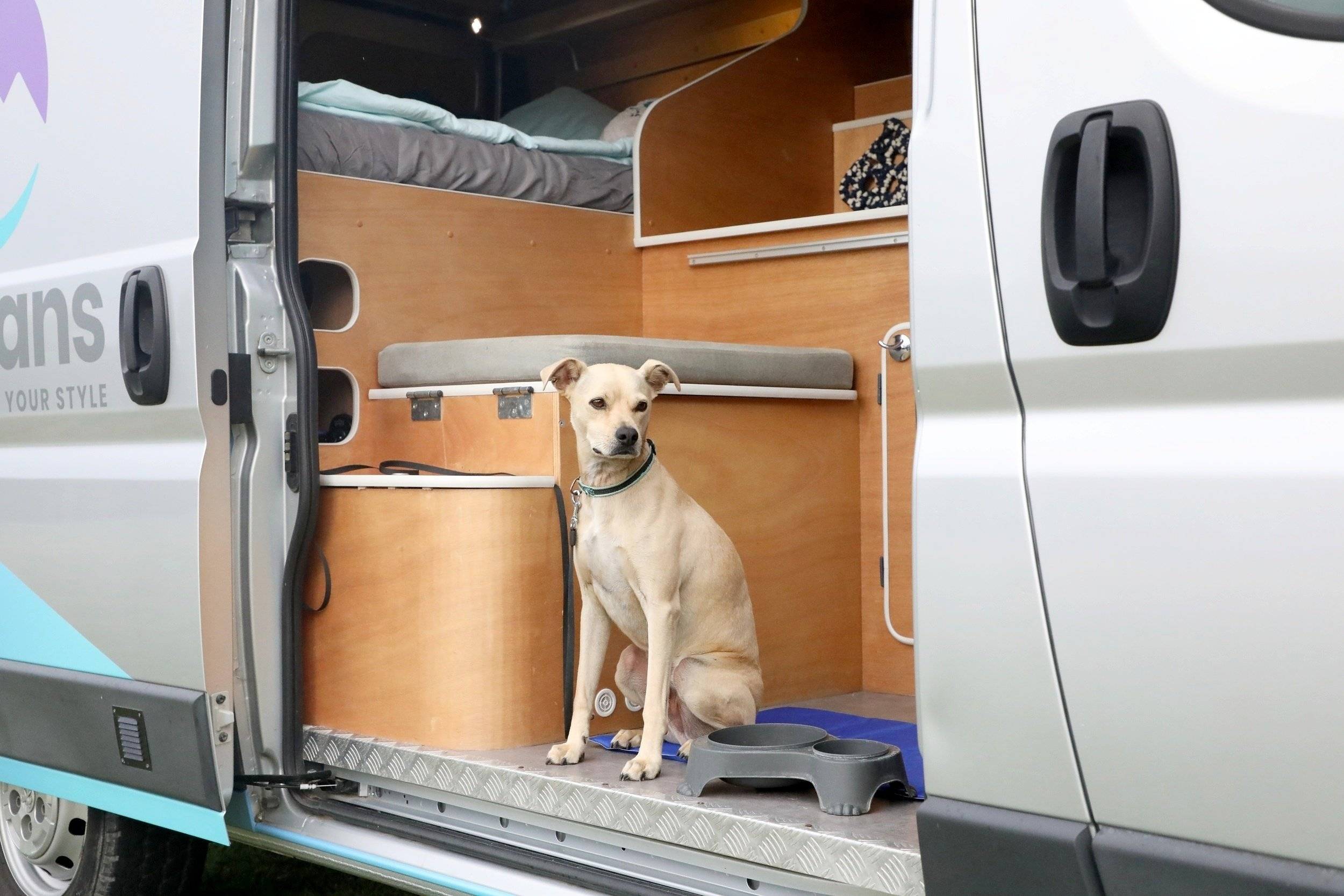 SURF CAMPERVAN ACTIVANS 