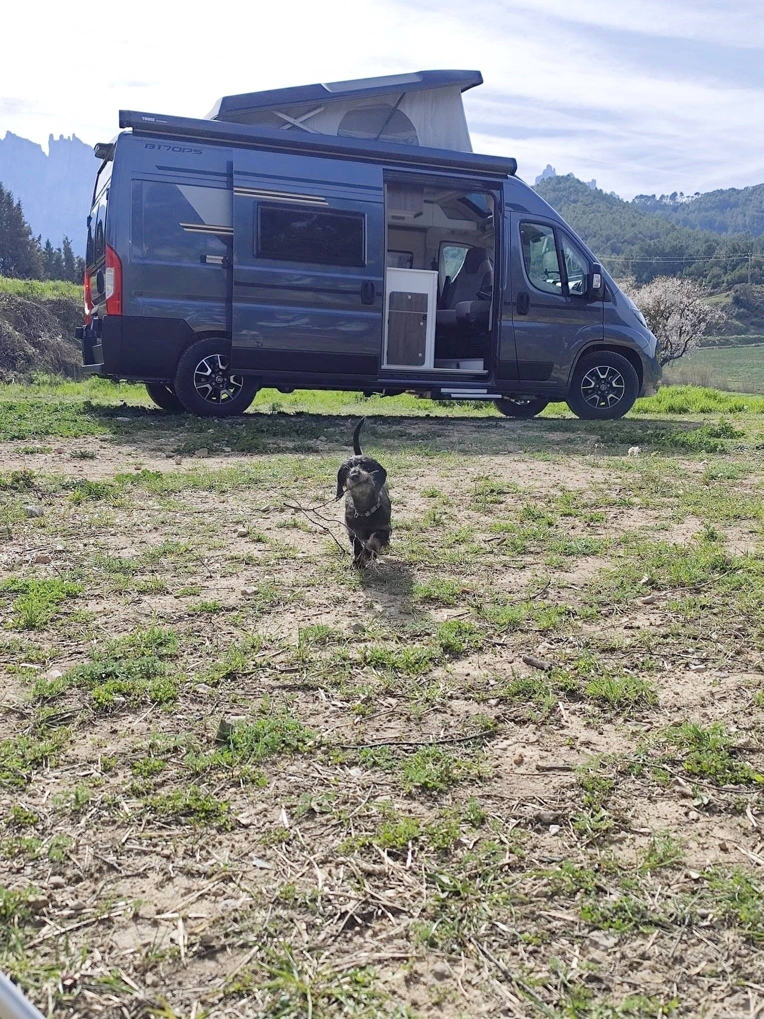 Vue avant de 3/4 Fiat - Yescapa