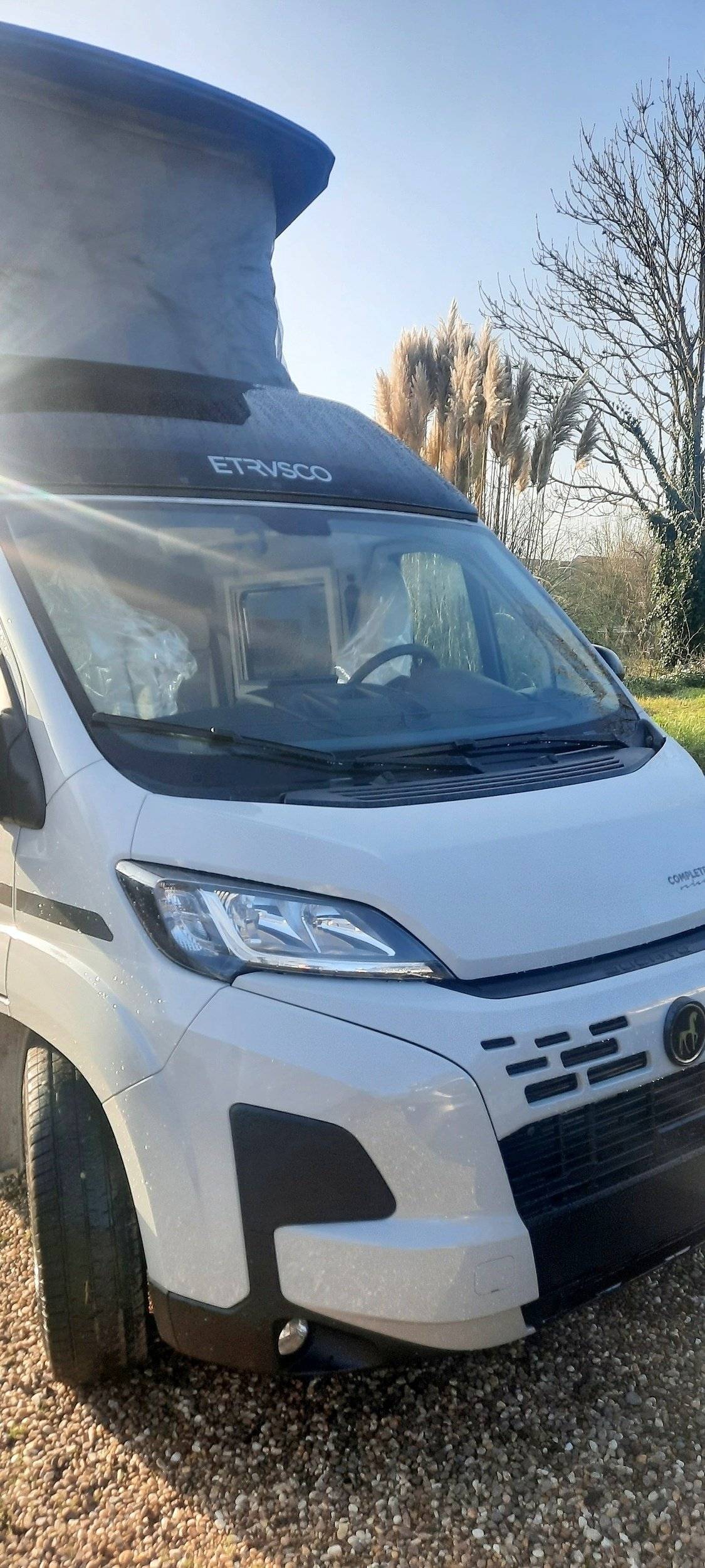 Etrusco 600 DB