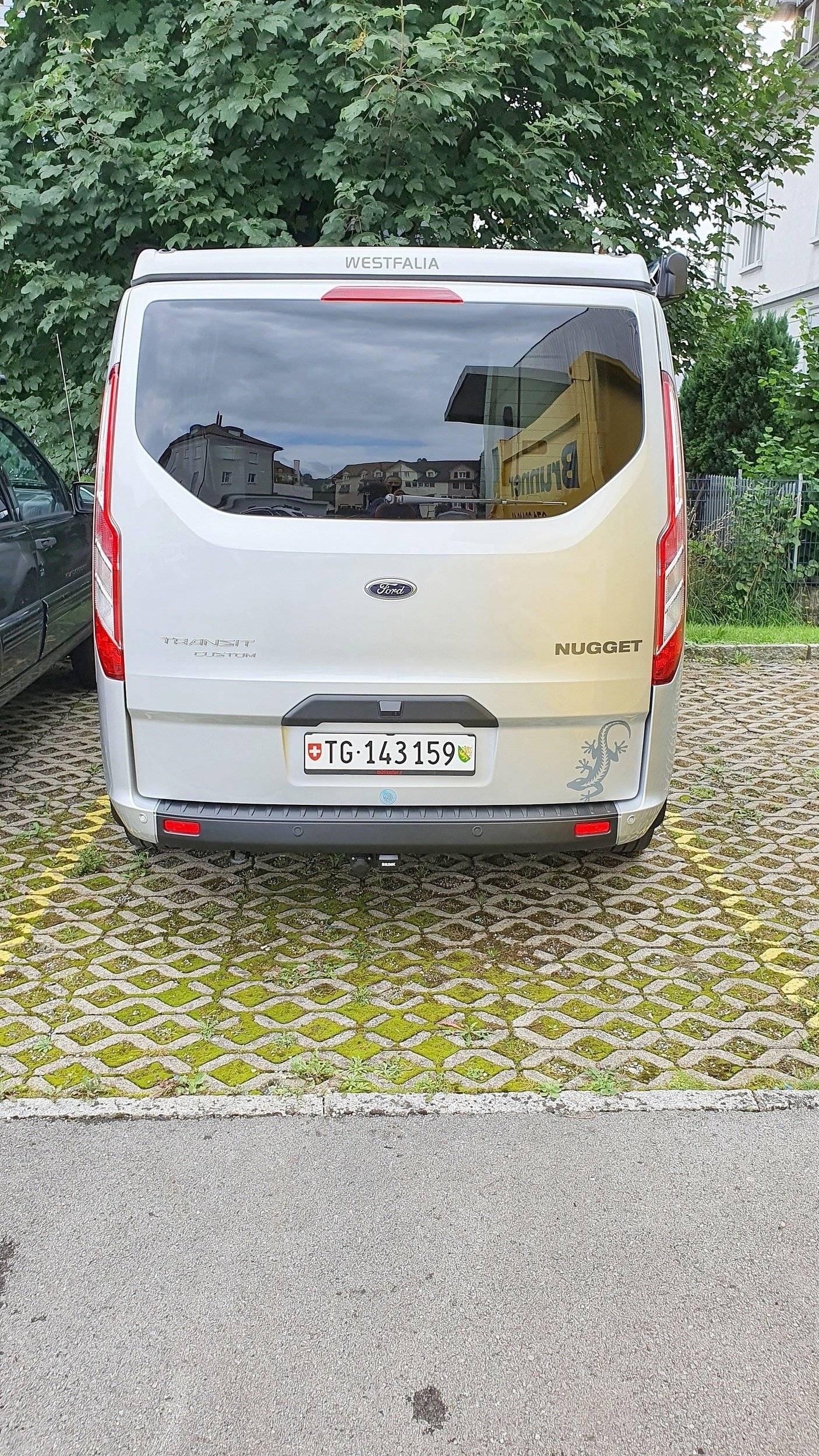 Custom Transit Nugget 