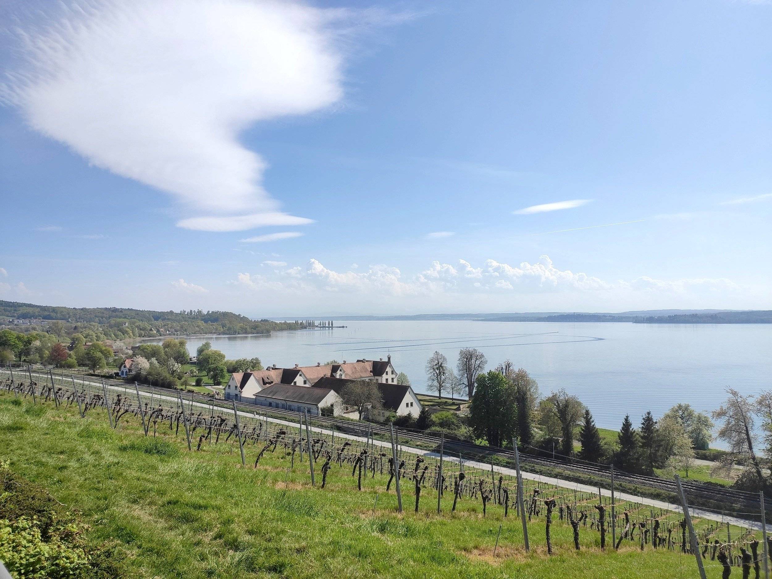 Eriba Eriba Touring Familia 310 GT Line