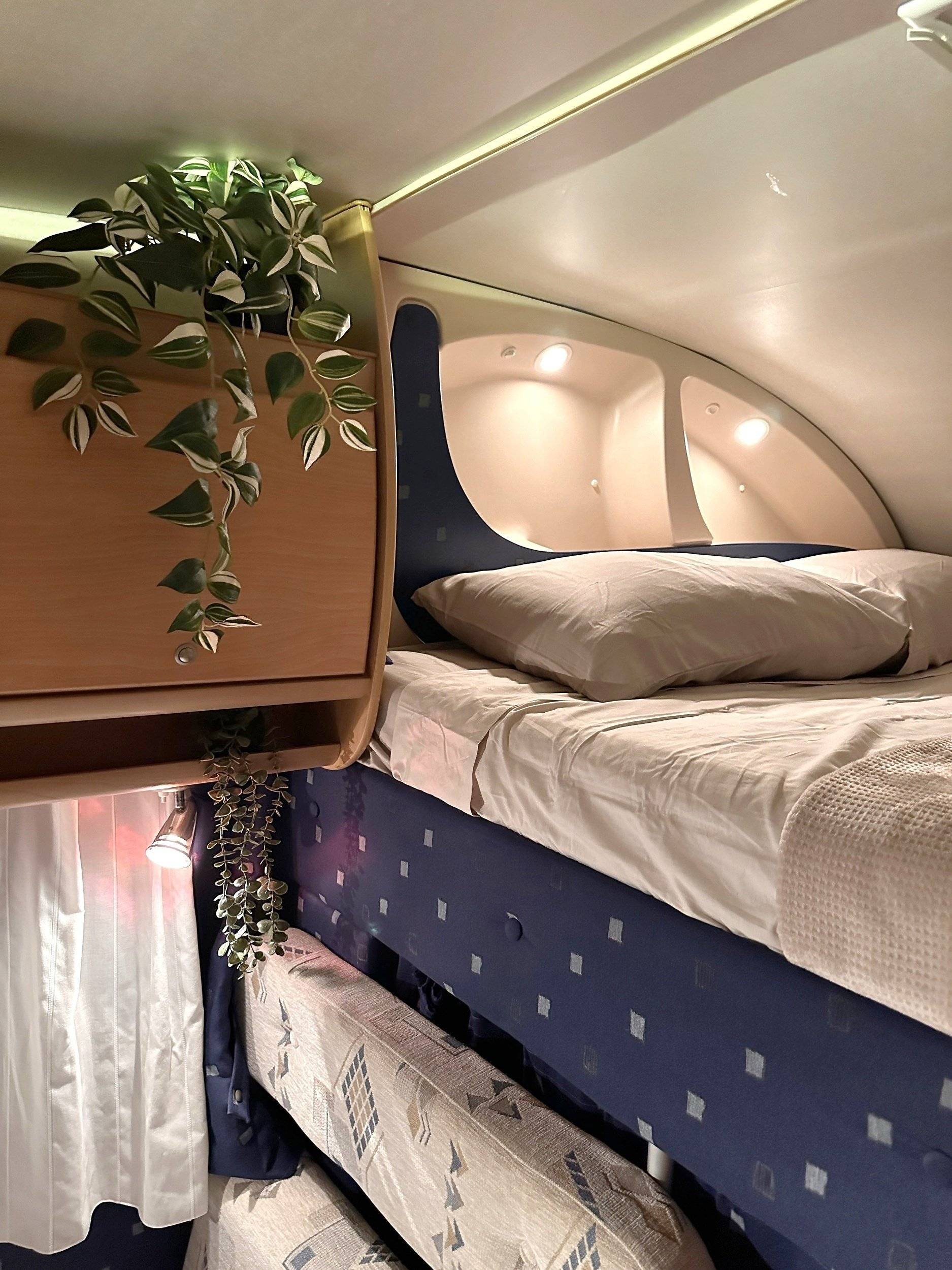 Mclouis McLouis Tandy