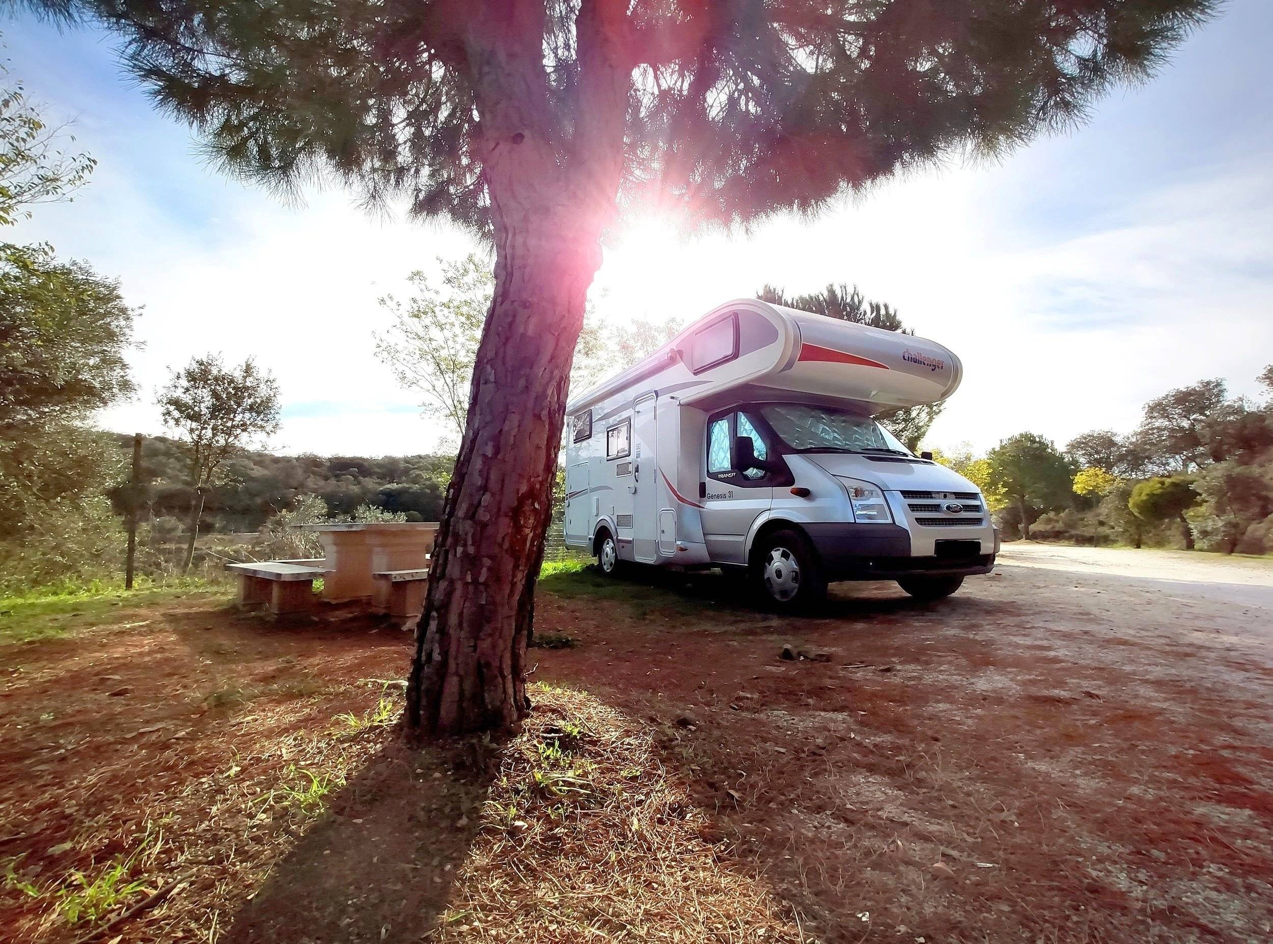 Challenger Genesis 31