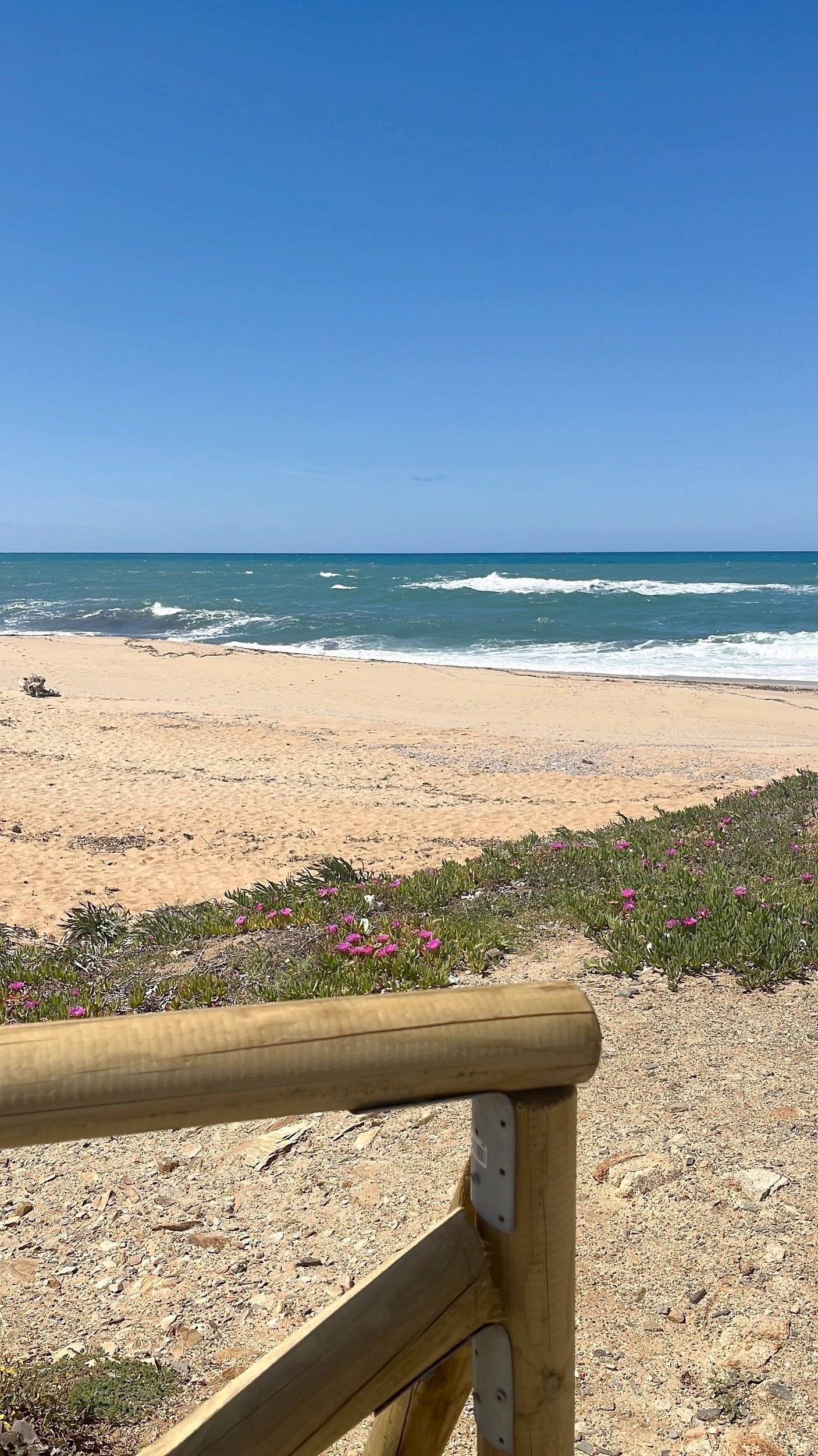 Laika LAIKA ECOVIP 2