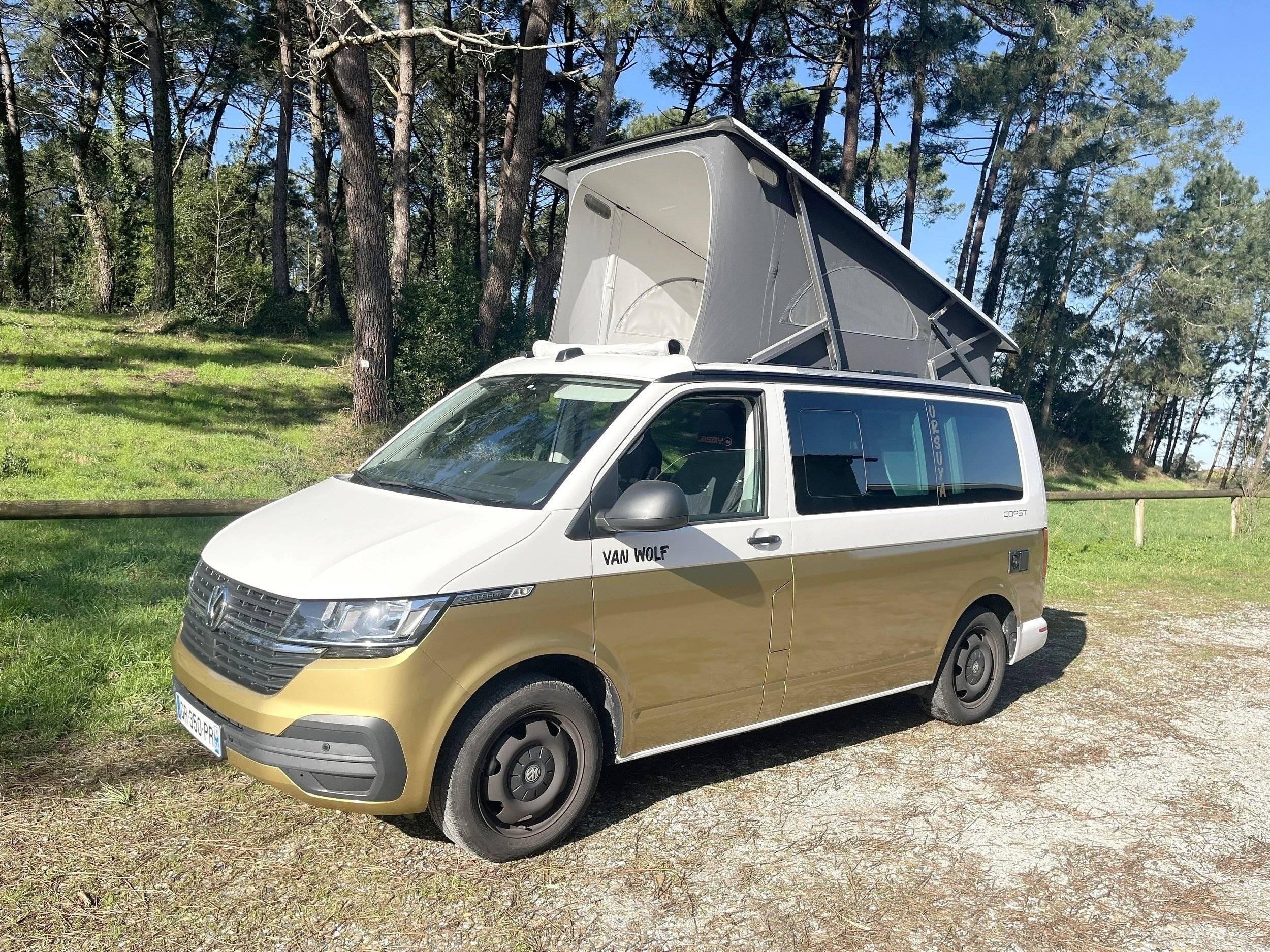 Volkswagen California T6.1 DSG Coast
