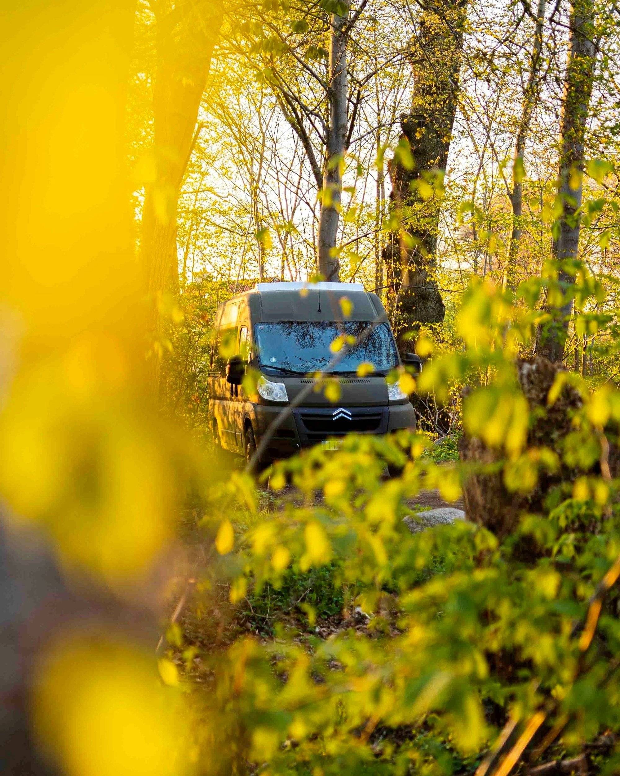 jumper Citroën jumper