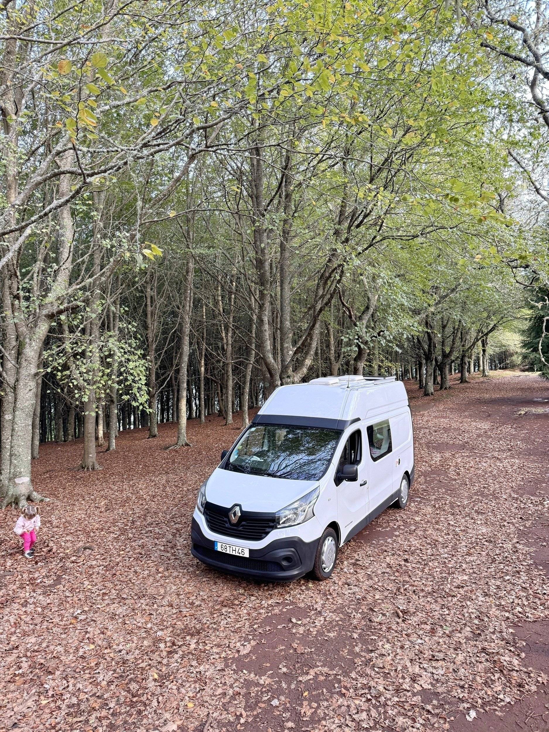 Renault Renault trafic 