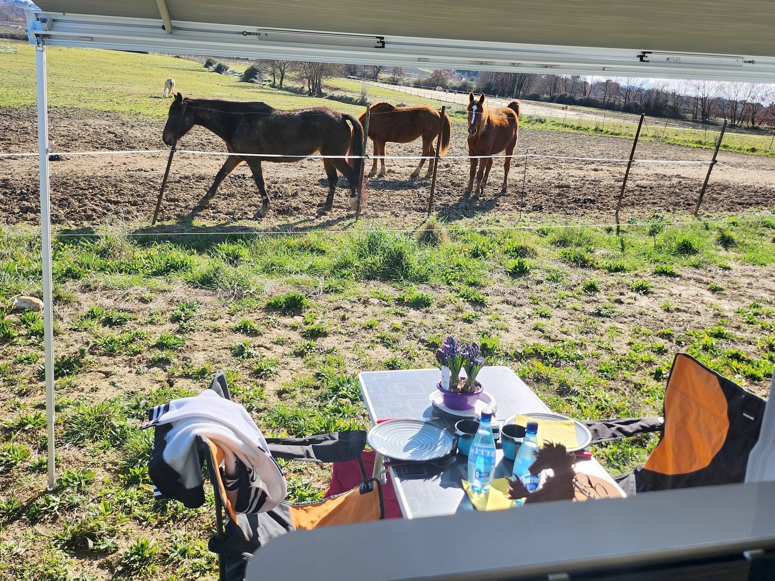 Chausson Chausson V594 First Line