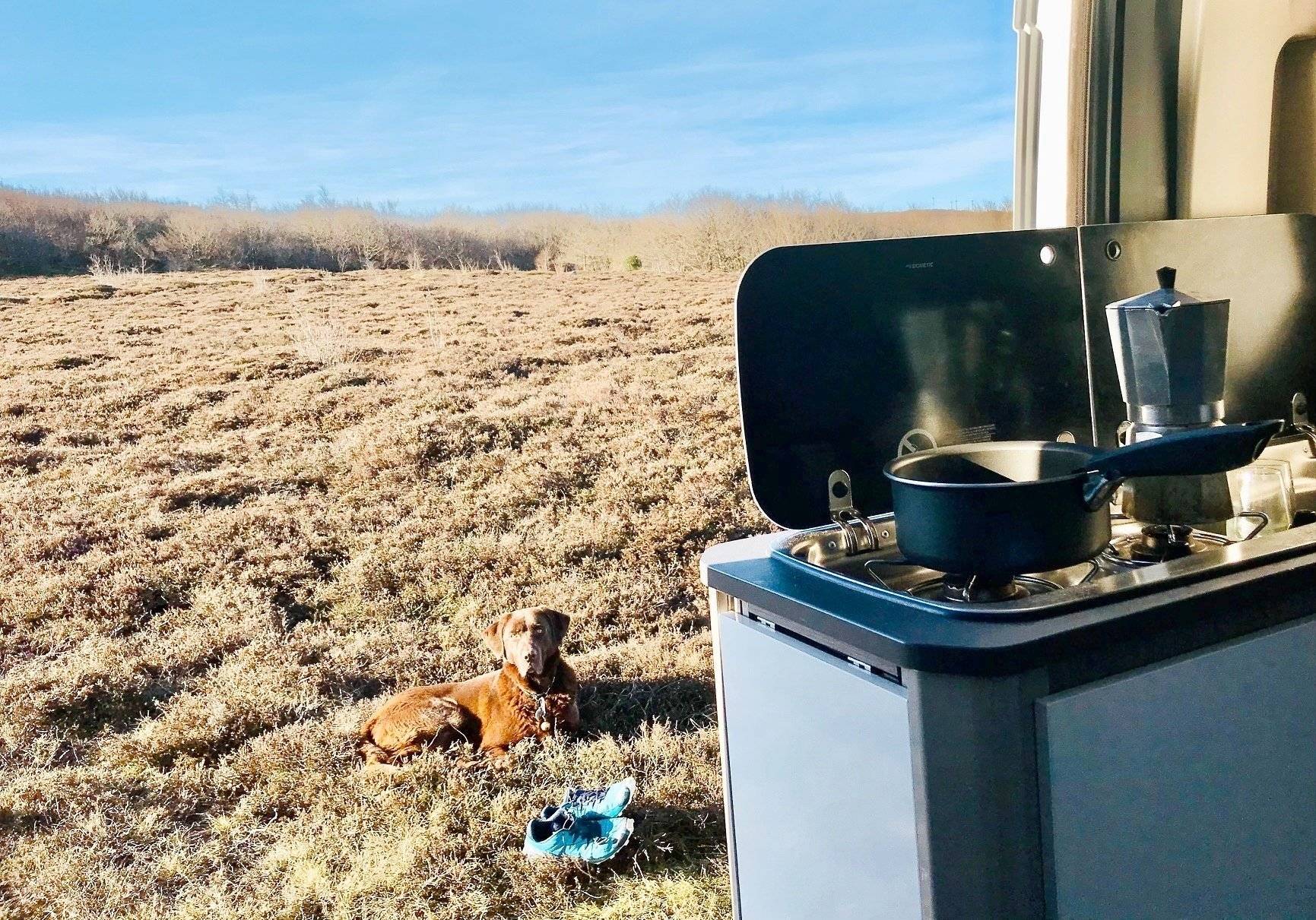 Challenger ROAD EDITION VIP 114 MAX