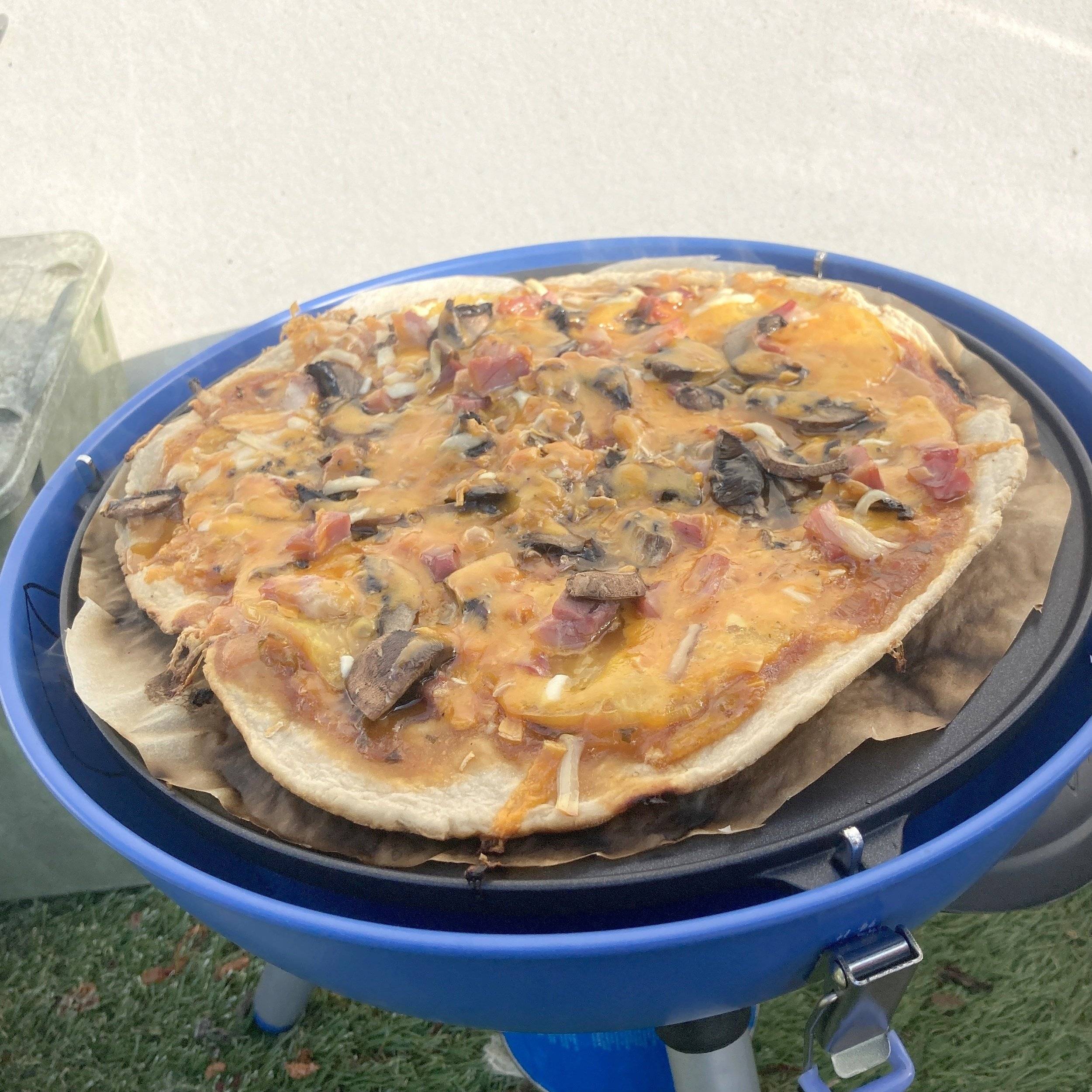 Benimar Benimar Tessoro 463 northautokapp