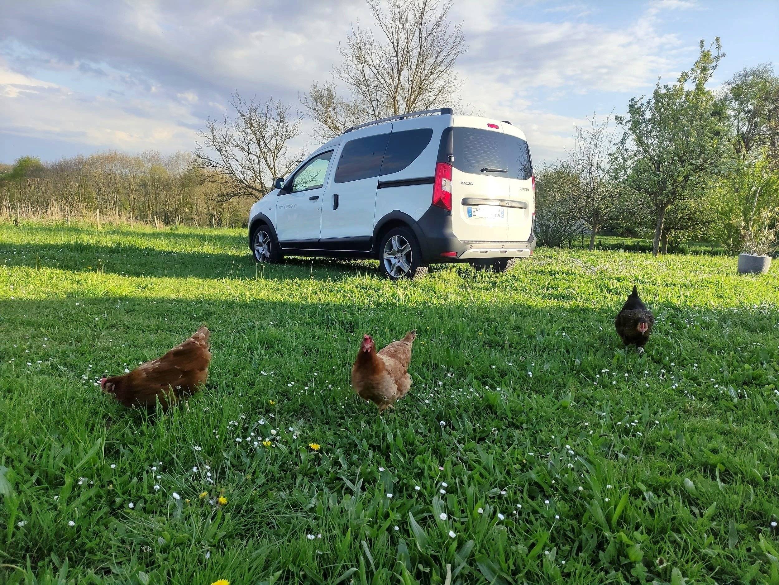 Autonome Dacia Dokker