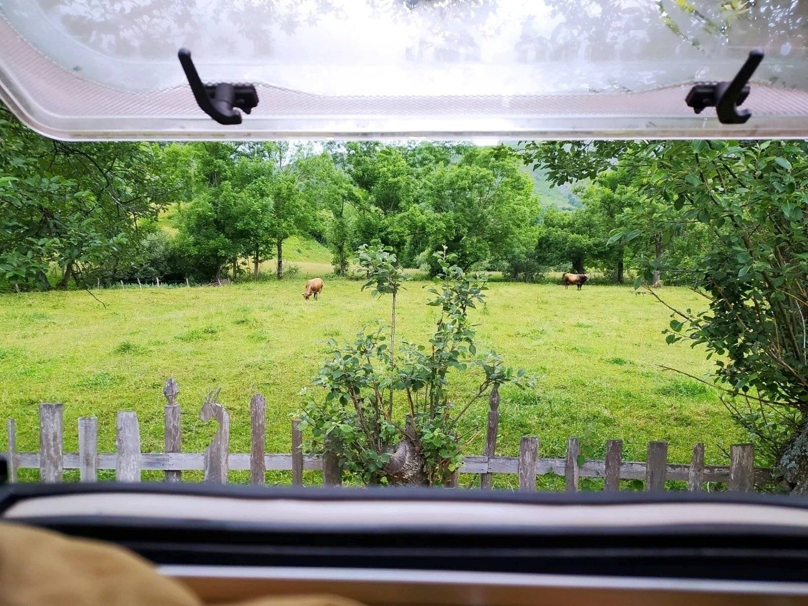 Elnagh Ford Transit Eddehs 120