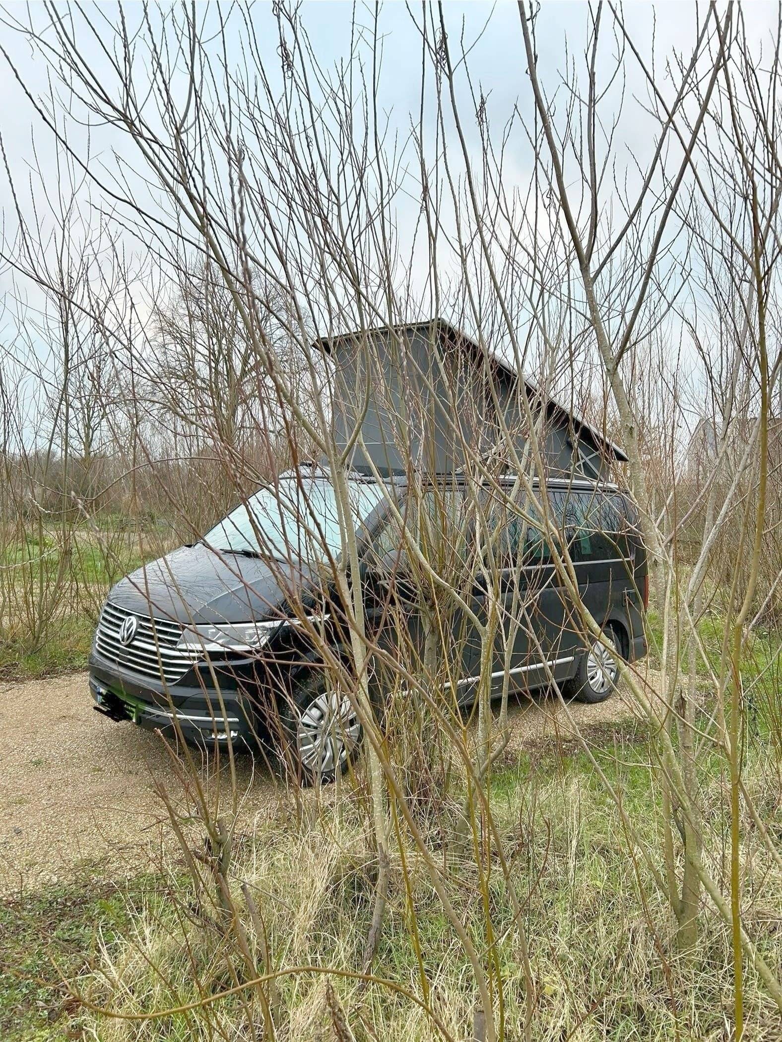 Volkswagen 
