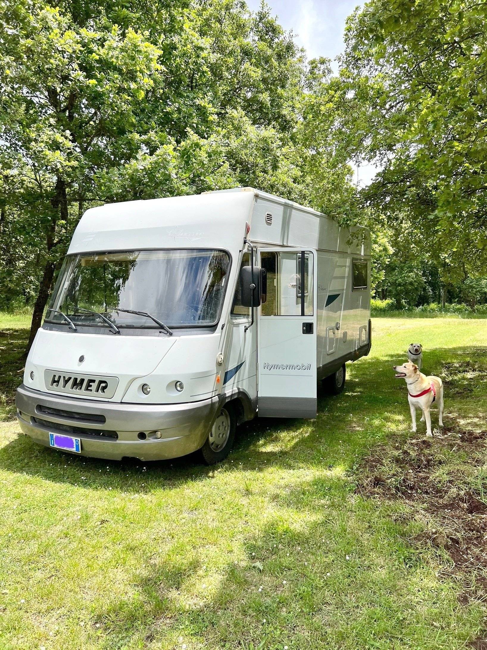 Hymer 595