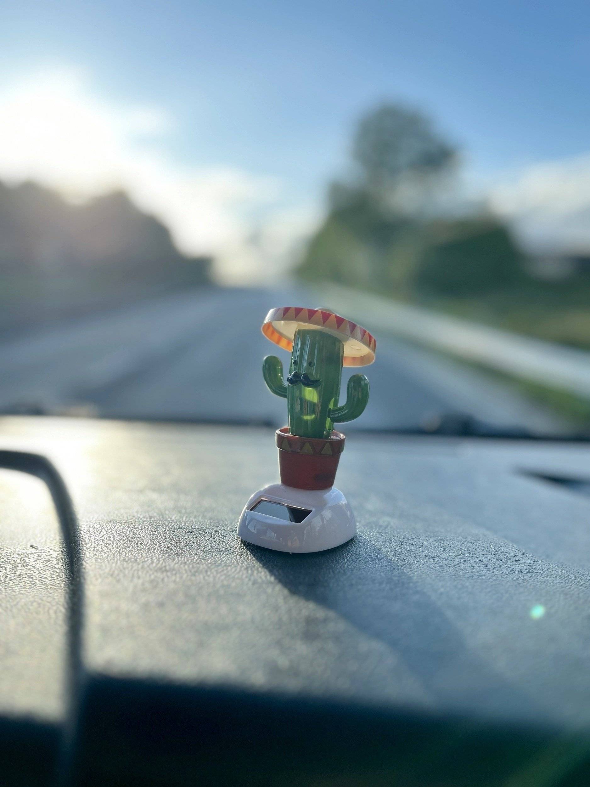 review photo thumbnail