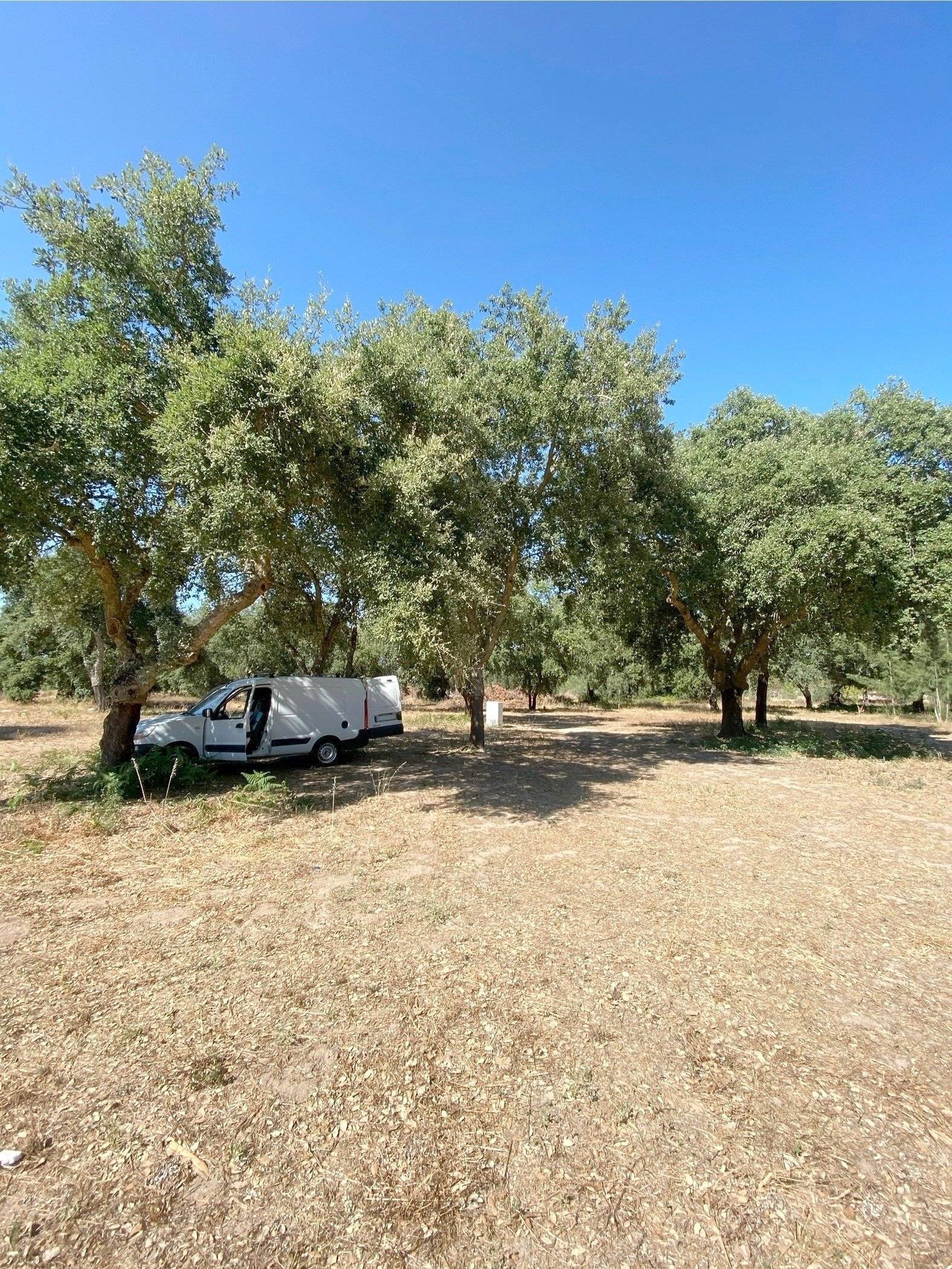 Renault Renault Kangoo