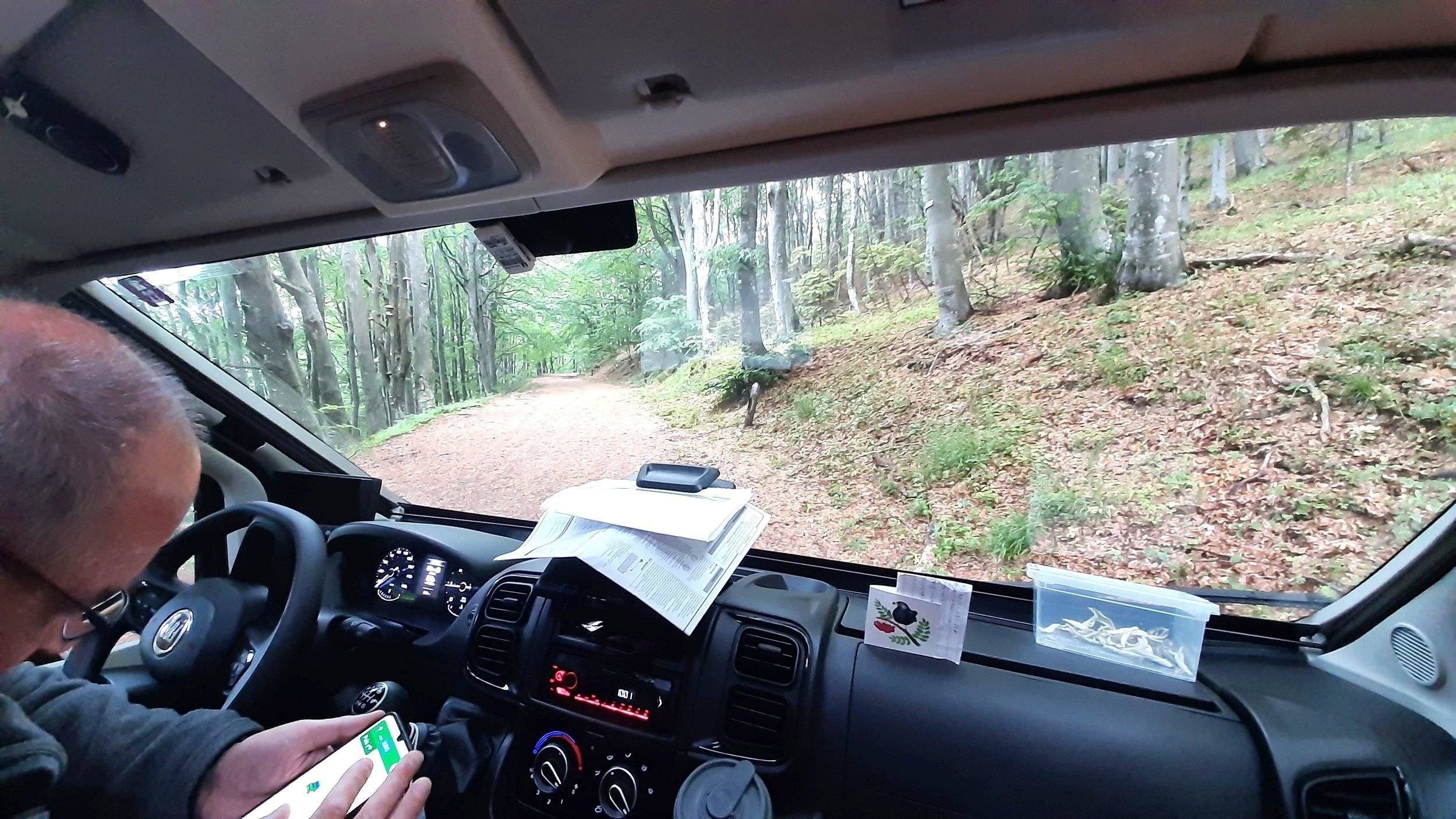 Dreamer D55 exclusive