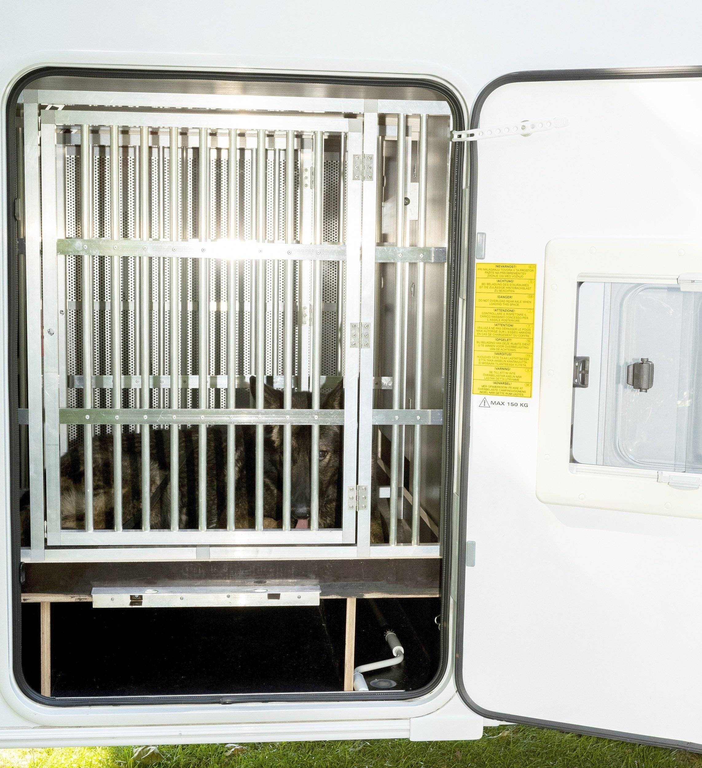 Sun Living Sun living