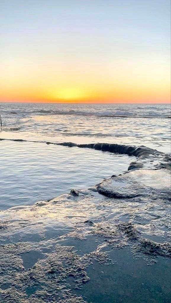 Volkswagen Transporter t4