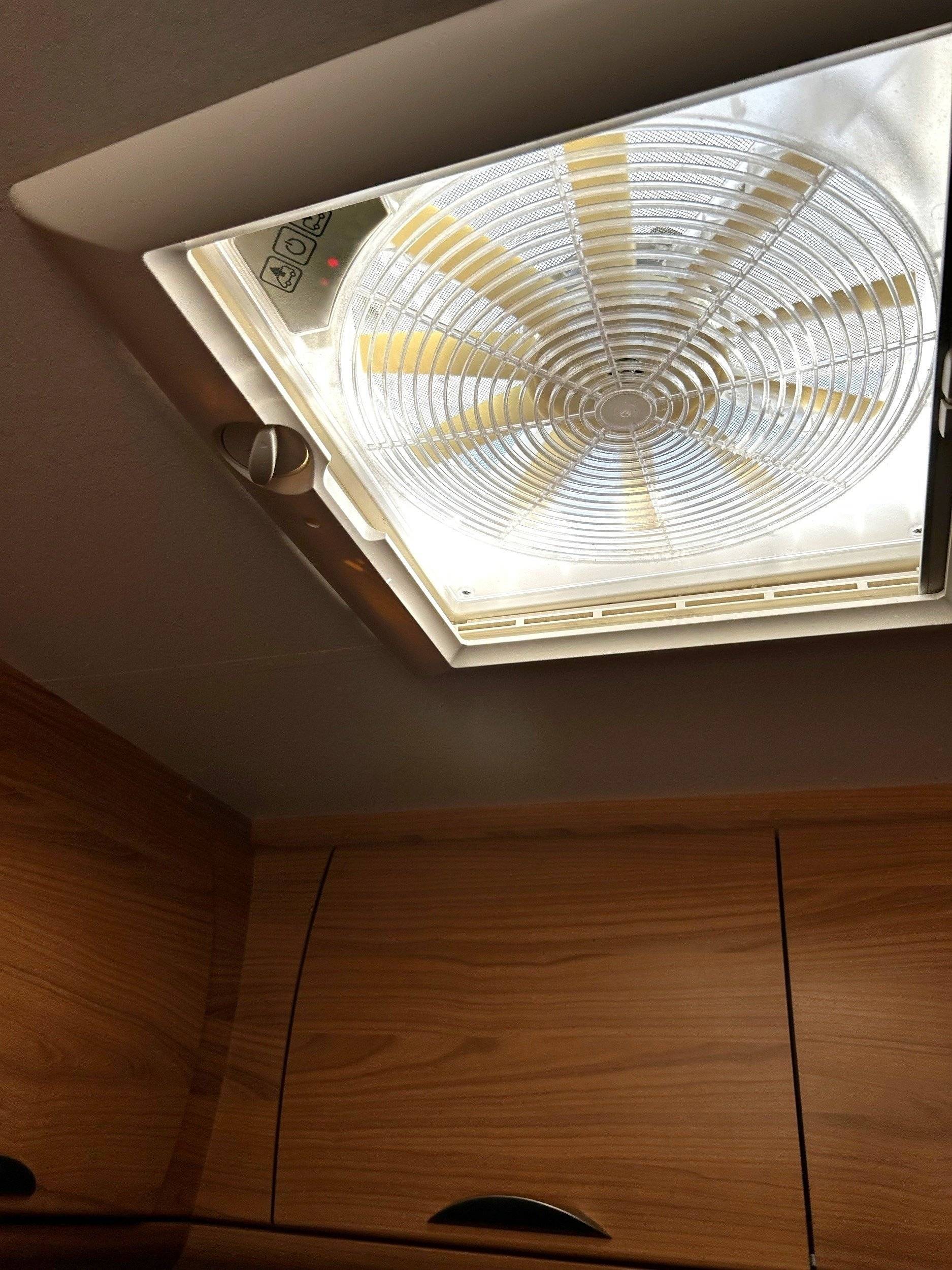 3 C Cartier/Brisebras Atalante