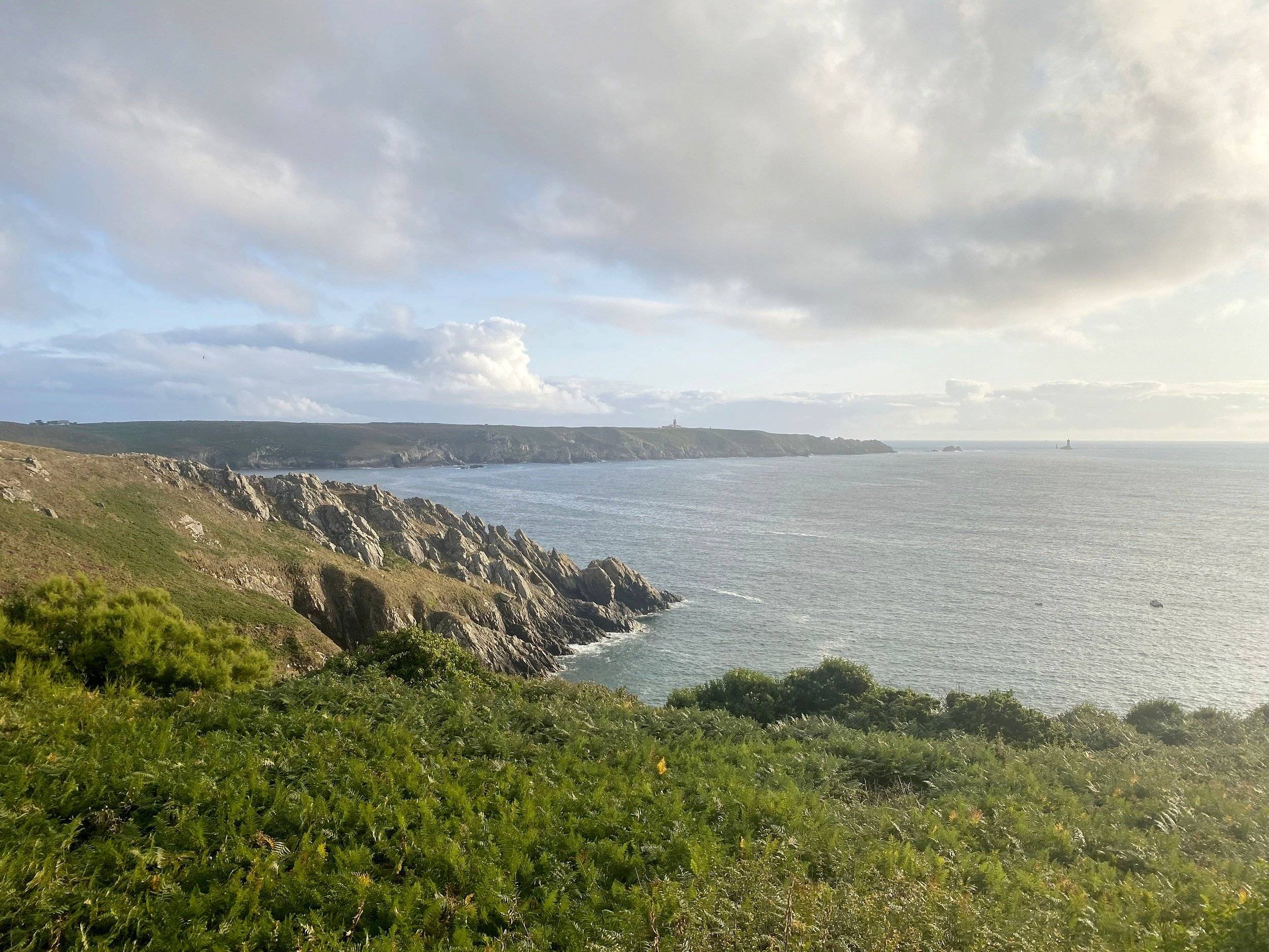 review photo thumbnail