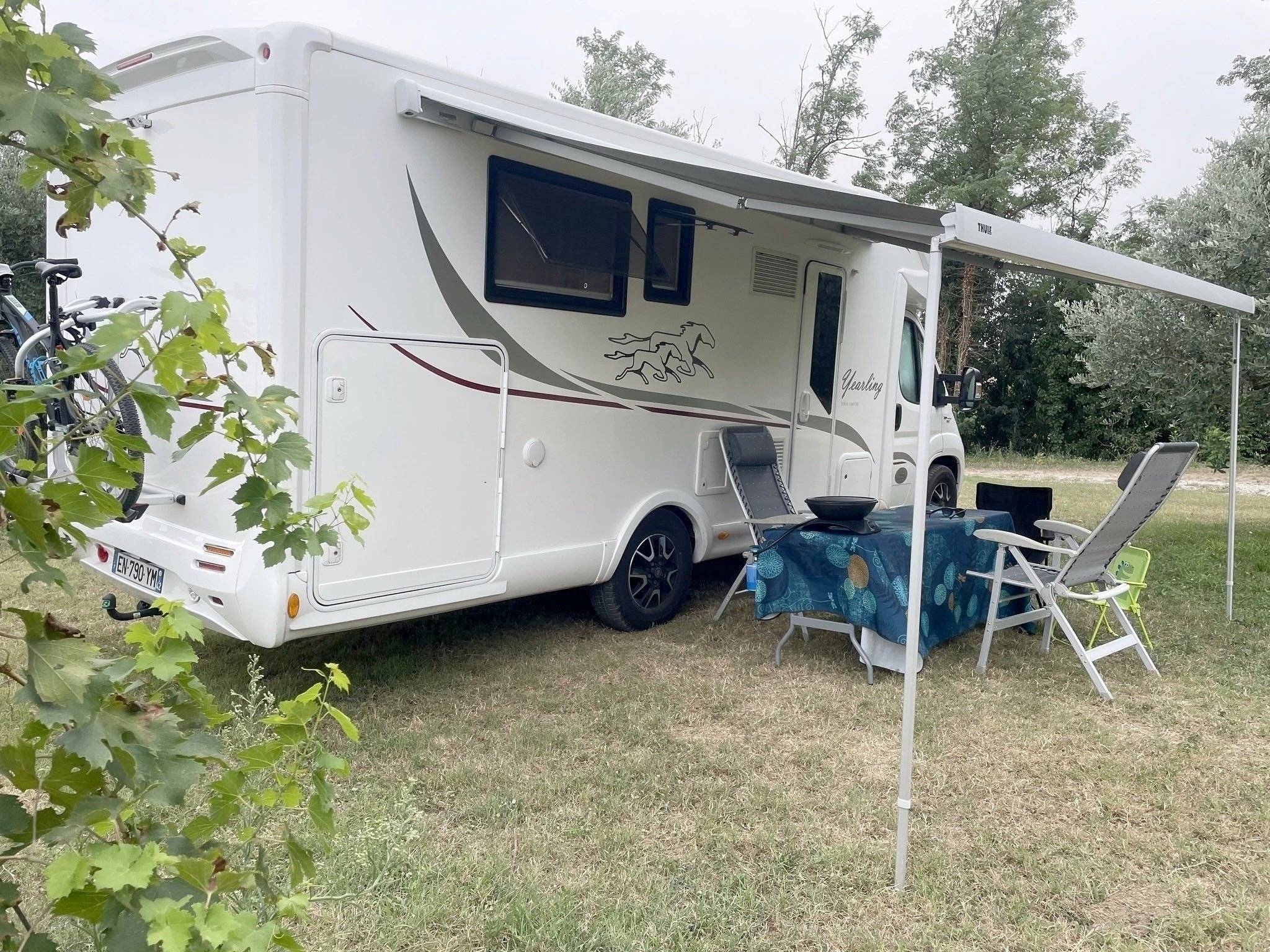 Mclouis yearling 89 G