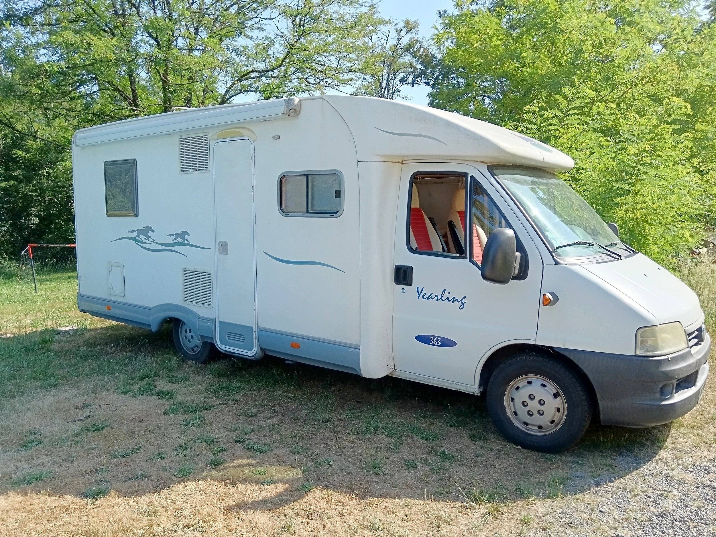 Mclouis Mclouis GLEN 363