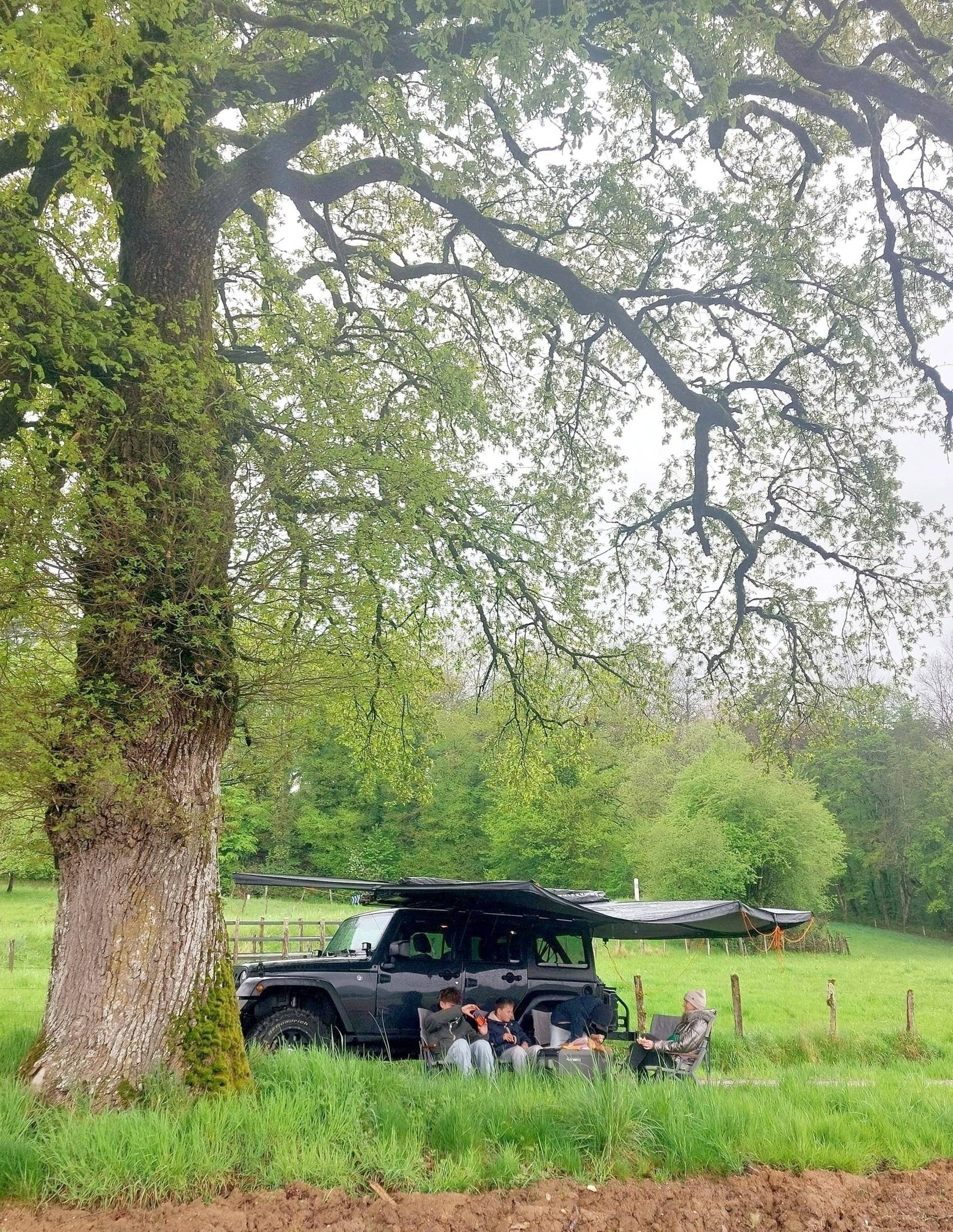 Jeep 