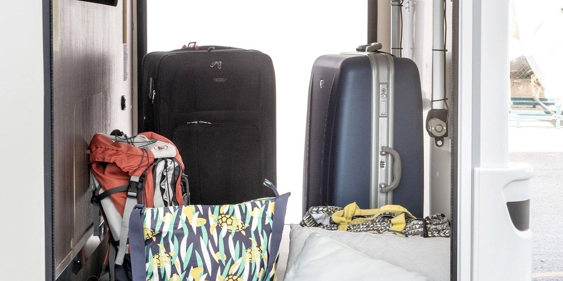 Mclouis Yearling 89G