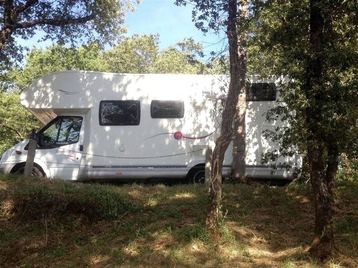 Challenger ford transit