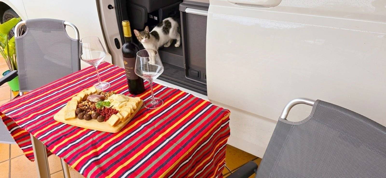 Car Caravane VOLKSWAGEN T7 CALIFORNIA COAST