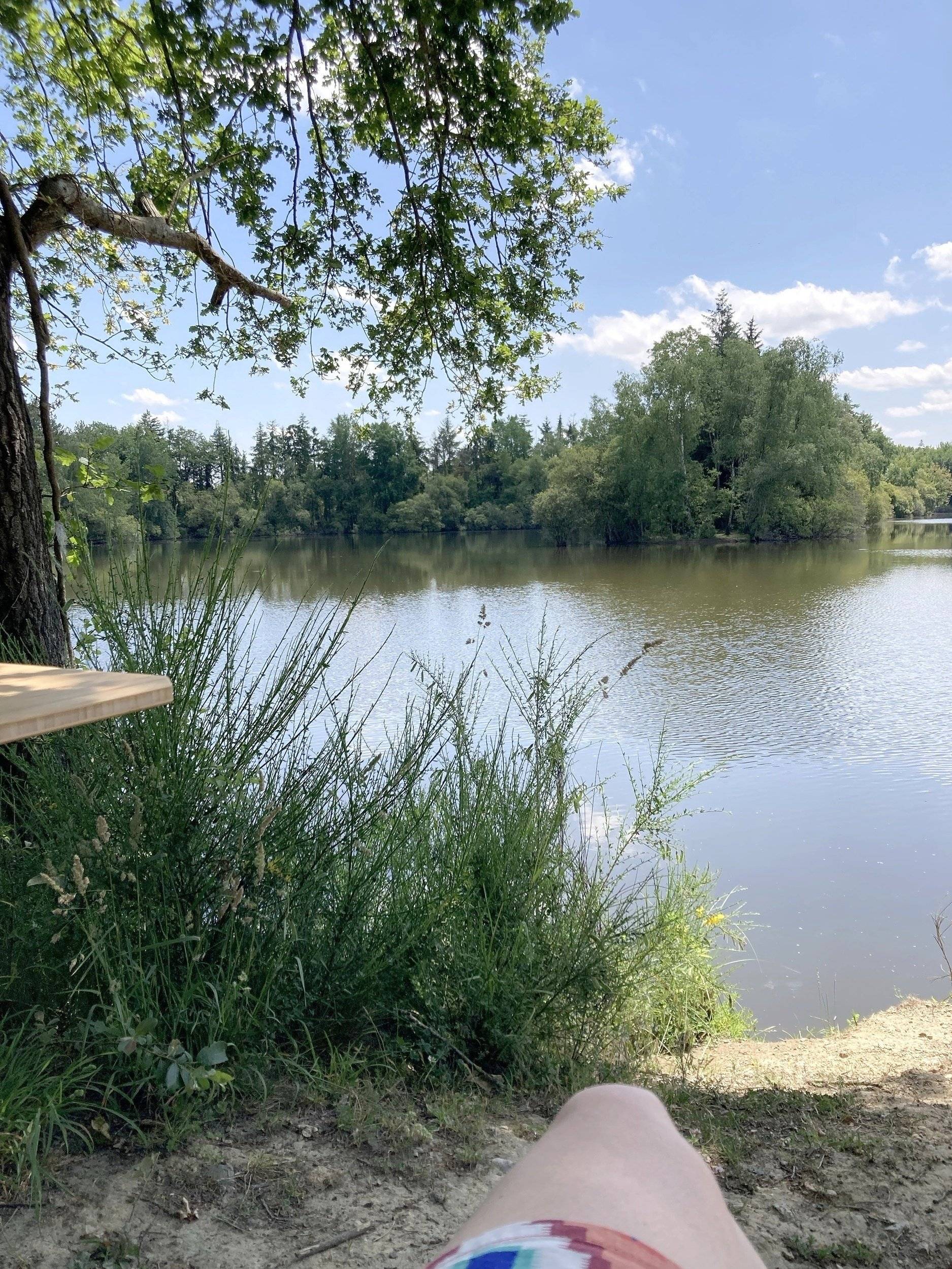 Renault Trafic 2,0 l dCi 120 ch.