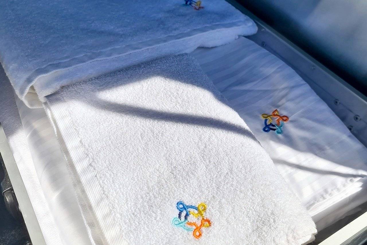 Volkswagen T6 with Raising Roof