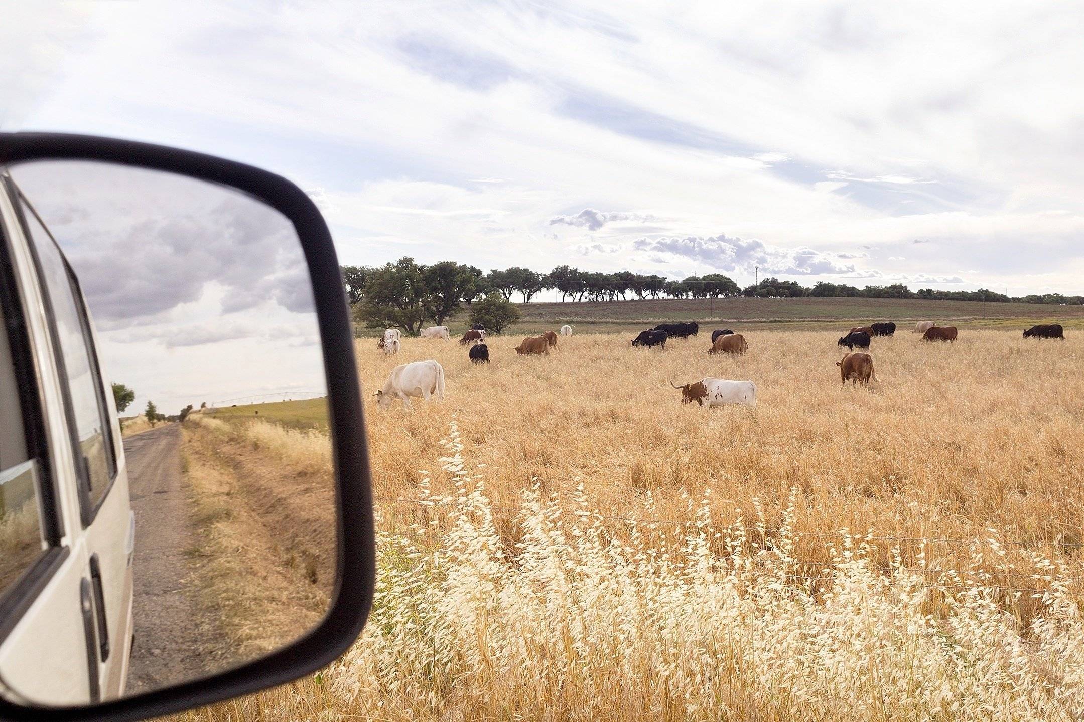 Volkswagen Transporter T4