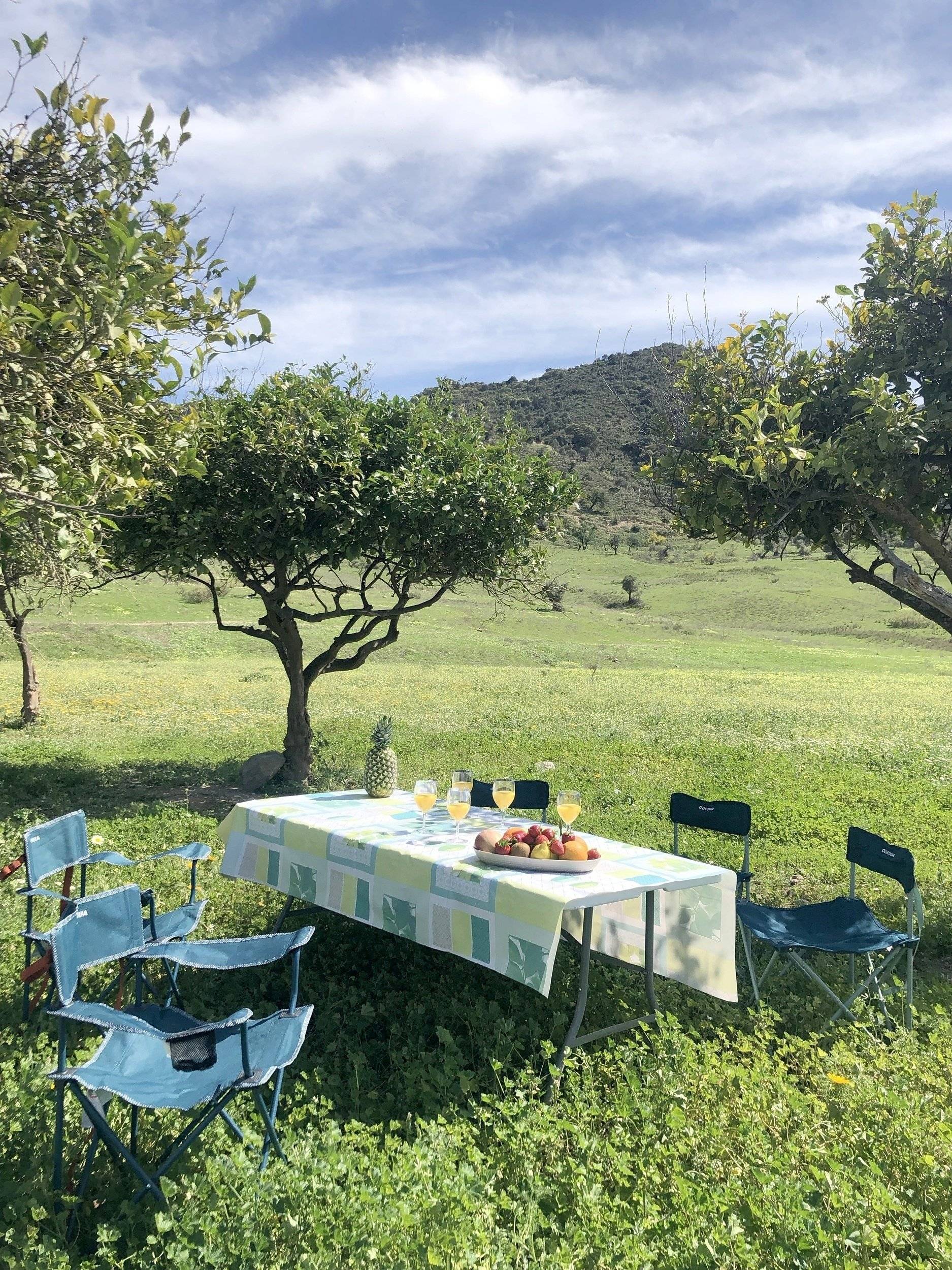 Roller Team 2,3 l 130 ch