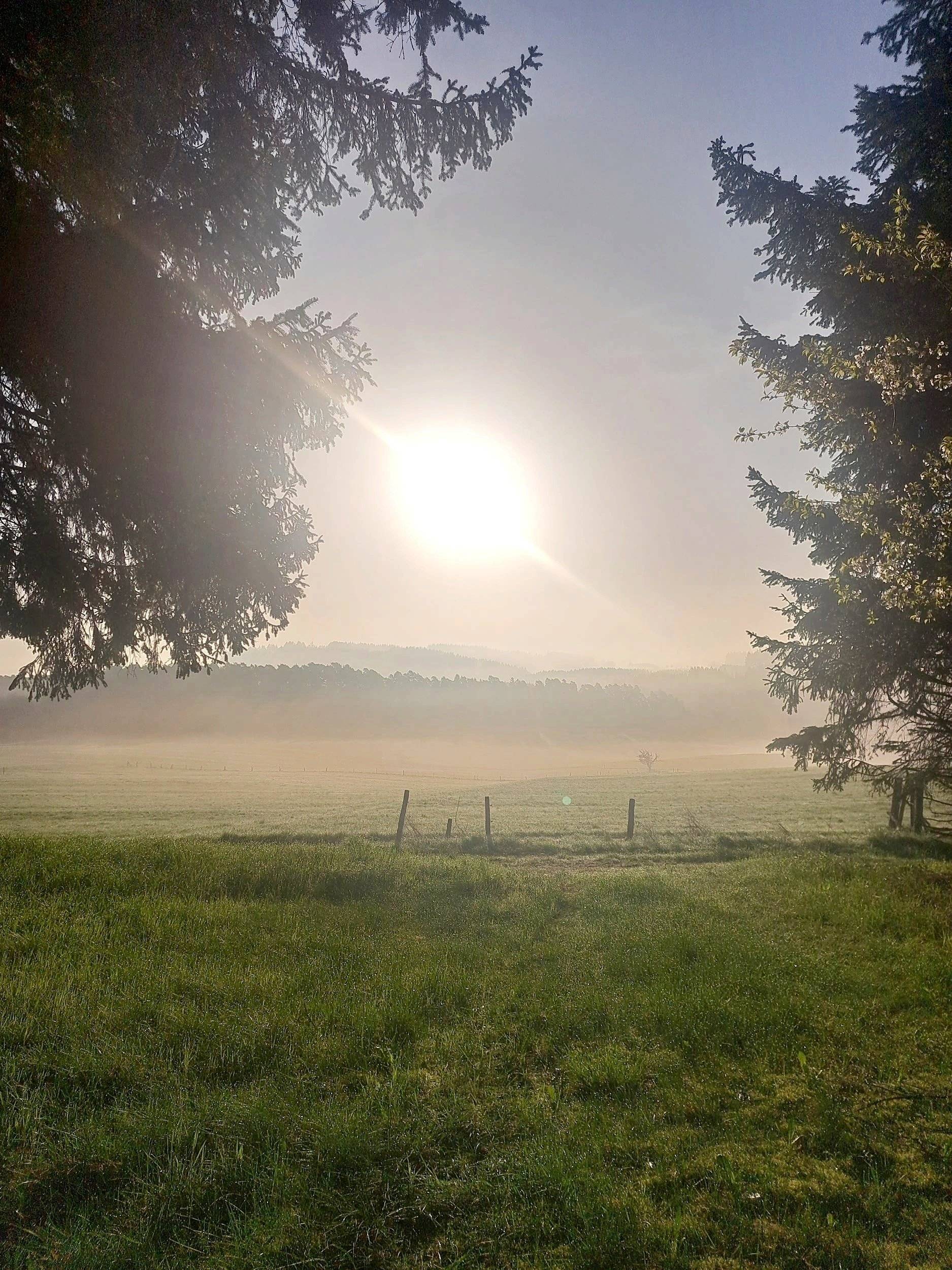 Westfalia Transit Custom 2,0 l 130 ch