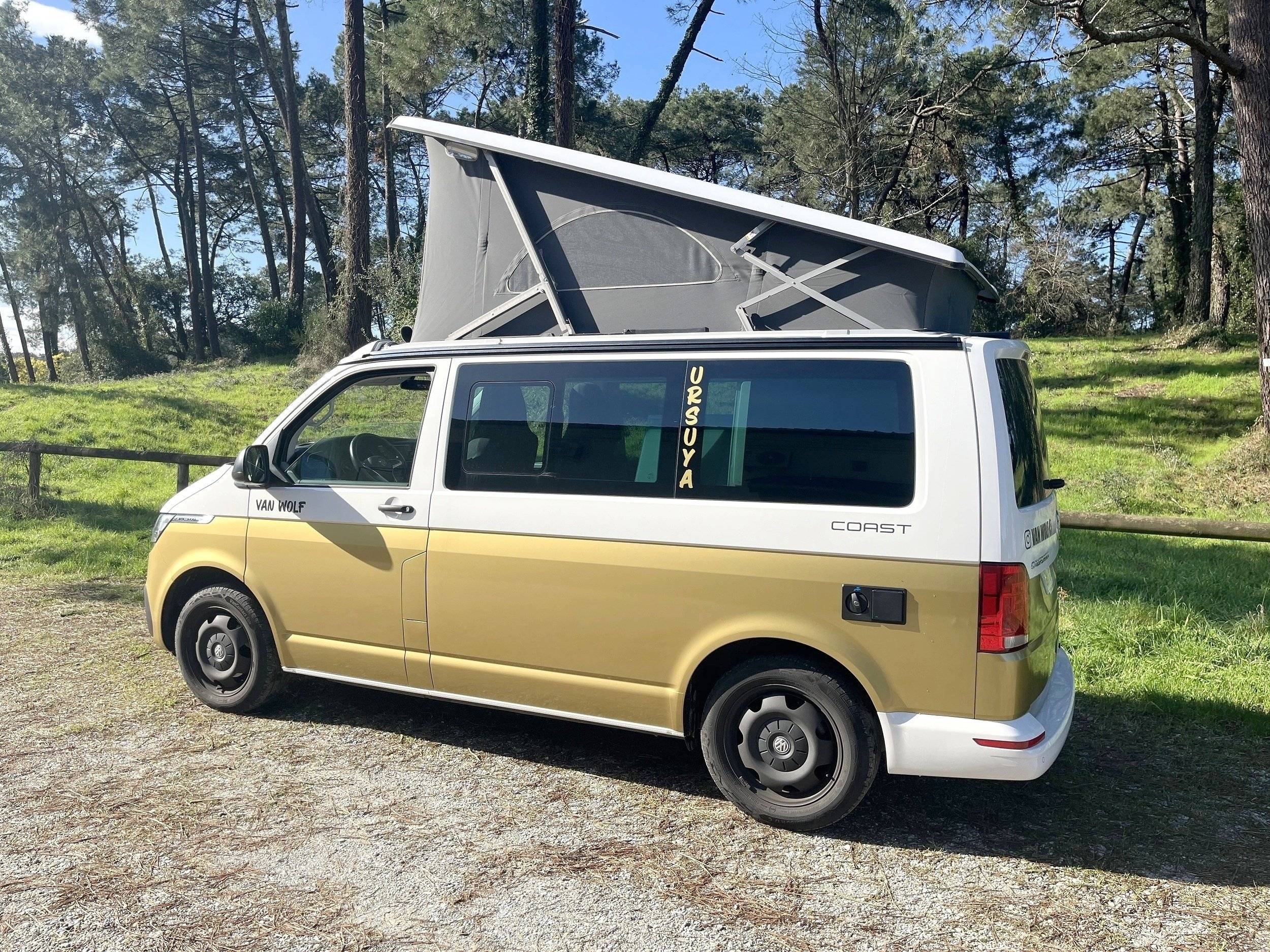 Volkswagen California T6.1 DSG Coast