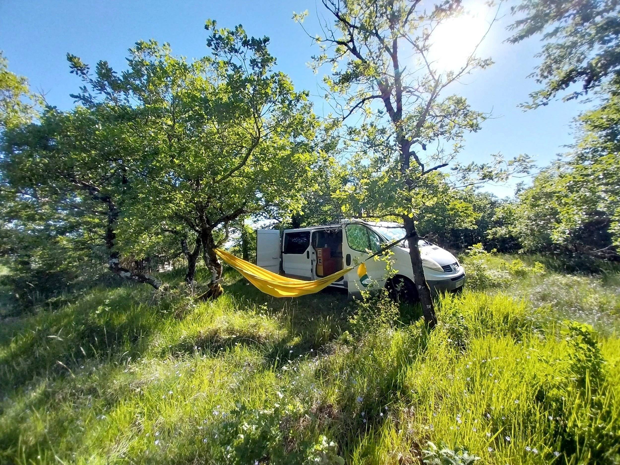 Renault 2,0 l dCi 115 ch